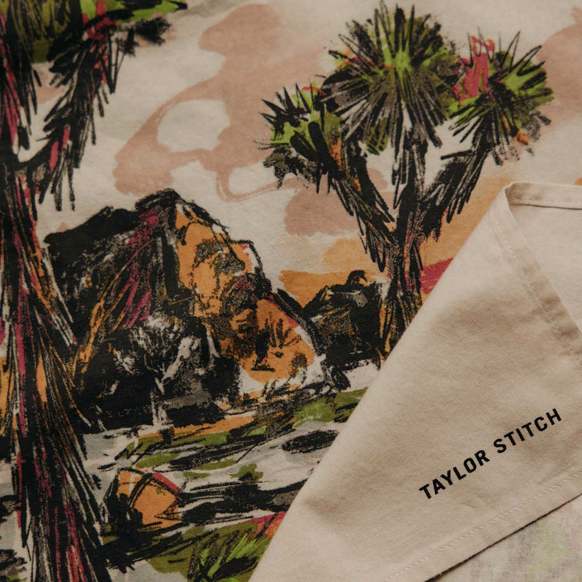 Taylor Stitch