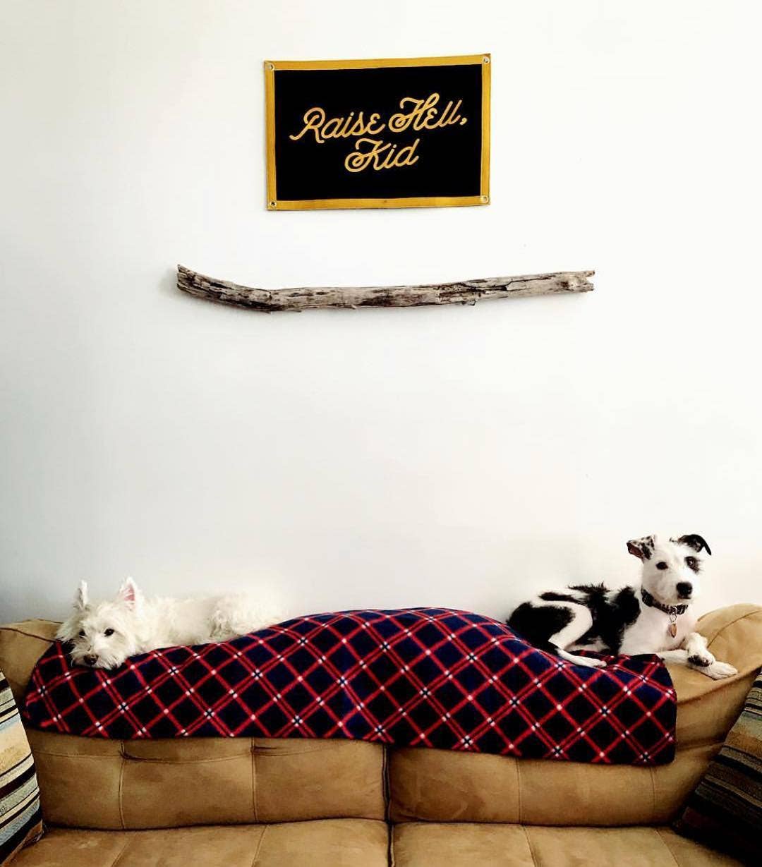 Raise Hell, Kid - Camp Flag