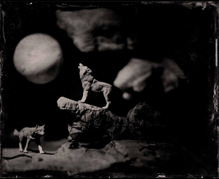 Eve of the Wolf