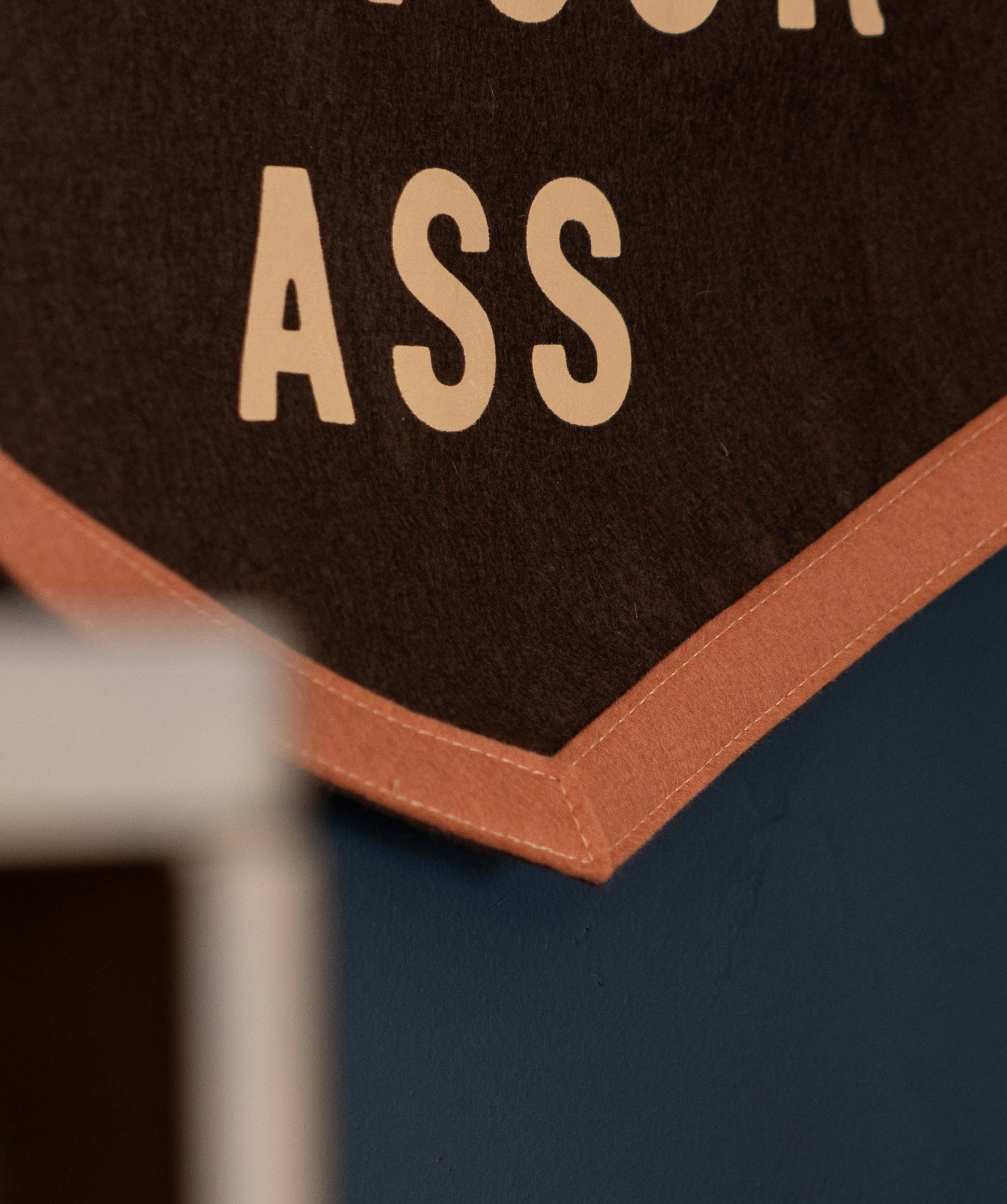 Let Love Knock You On Your Ass Camp Flag • Jason Isbell x Oxford Pennant