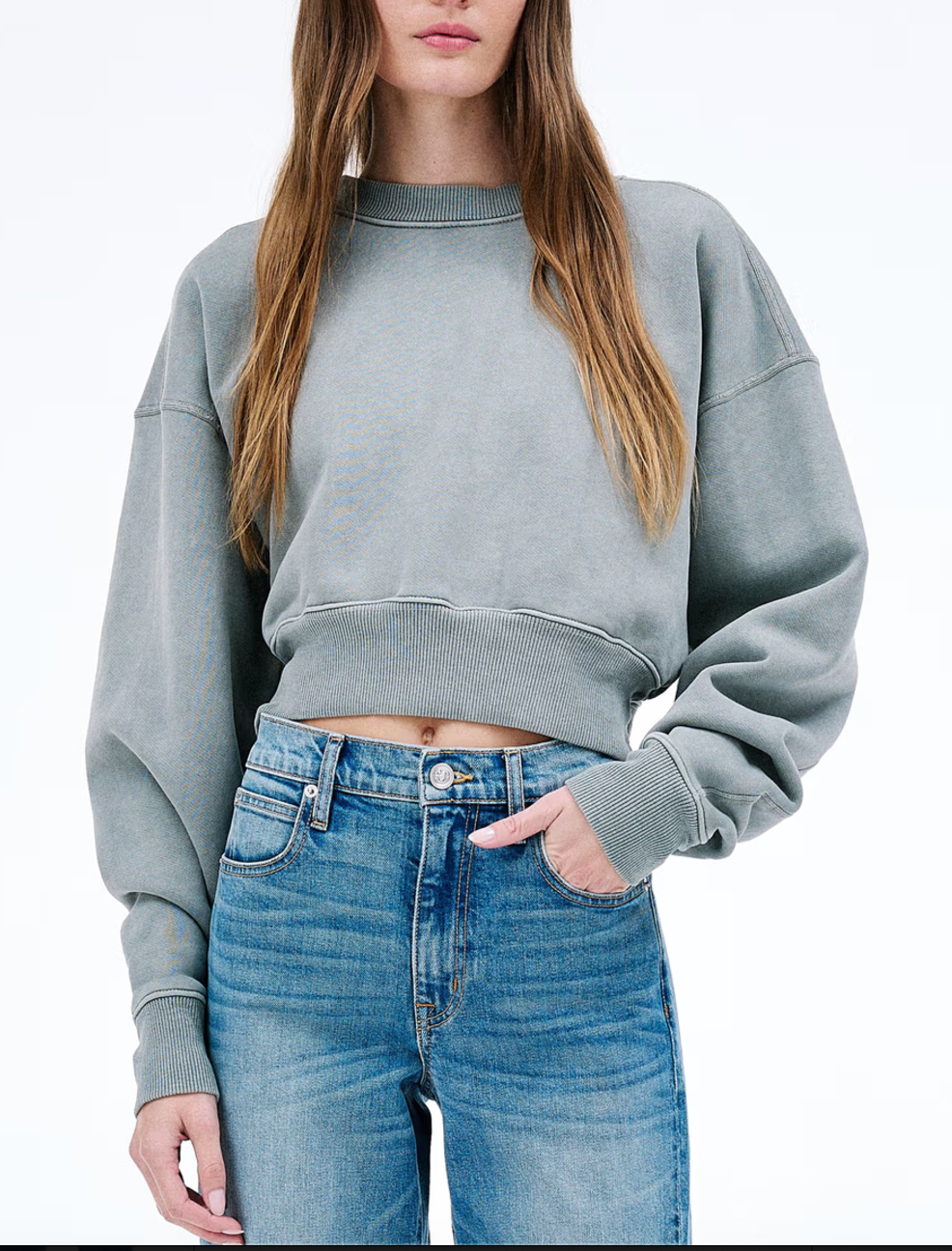 SLVRLAKE- Crop Crew Neck- Shadow Green