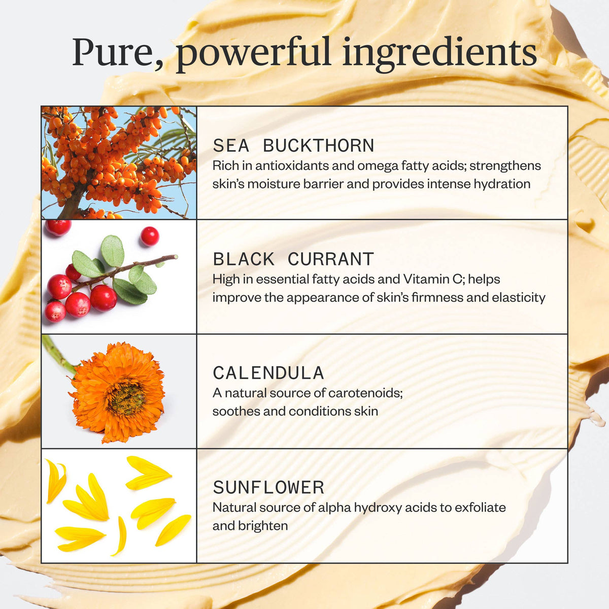 Ursa Major- Golden Hour Recovery Cream