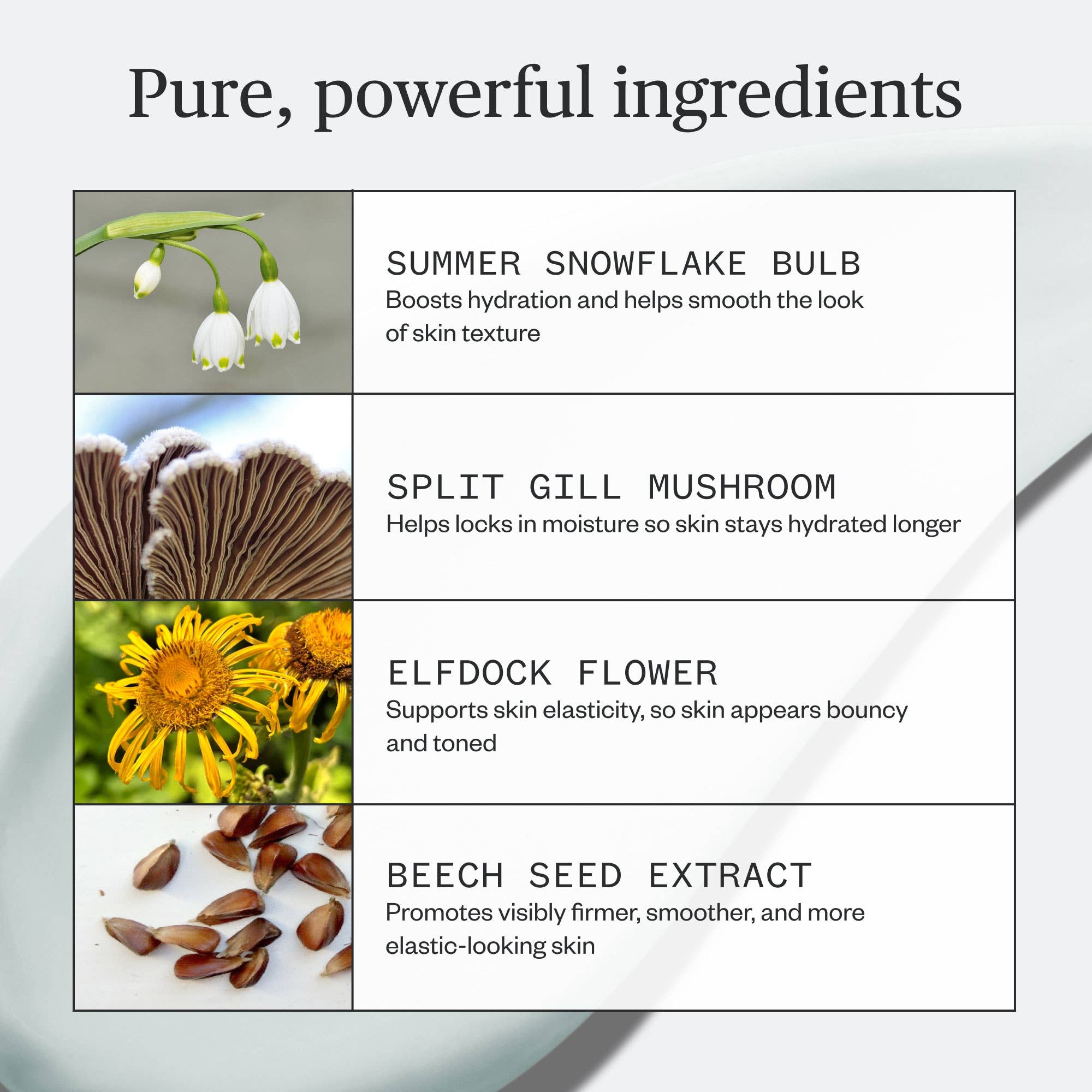 Ursa Major- Vital Spring Hydration Mask