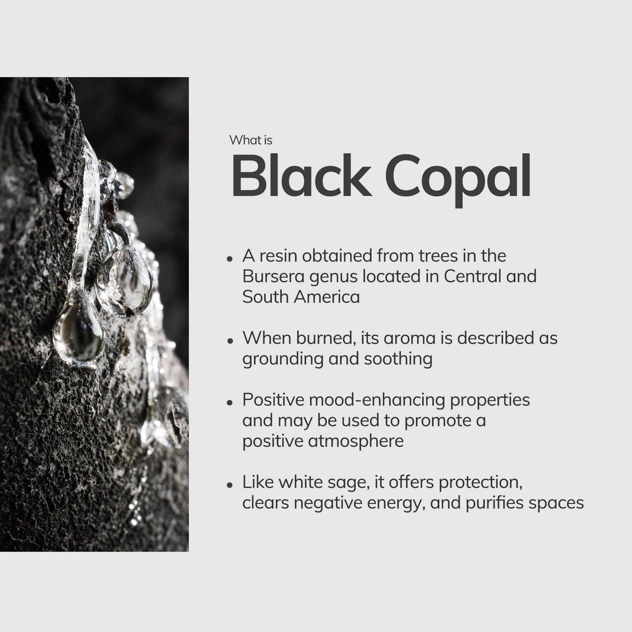 Cedar and Myrrh- Black Copal Incense Sticks – 7 Hand-Rolled Sticks from Peru