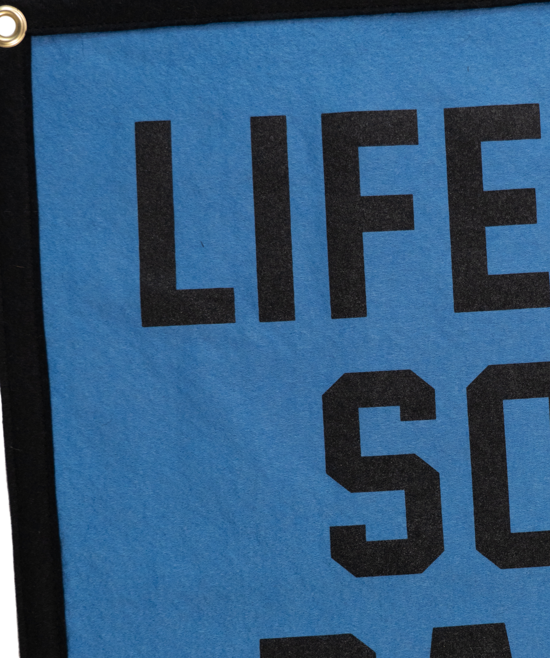 Life's So Rad Camp Flag • Weezer x Oxford Pennant