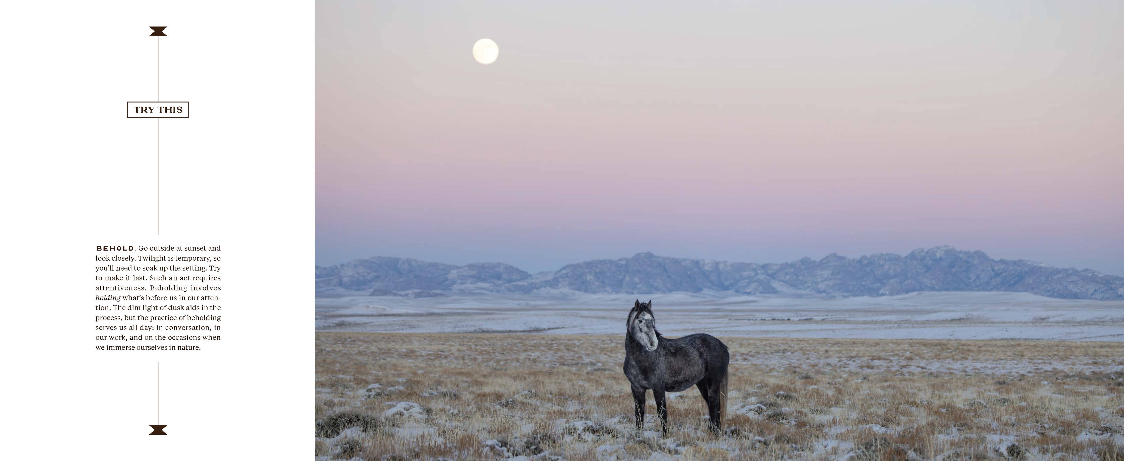Wild Horse Effect