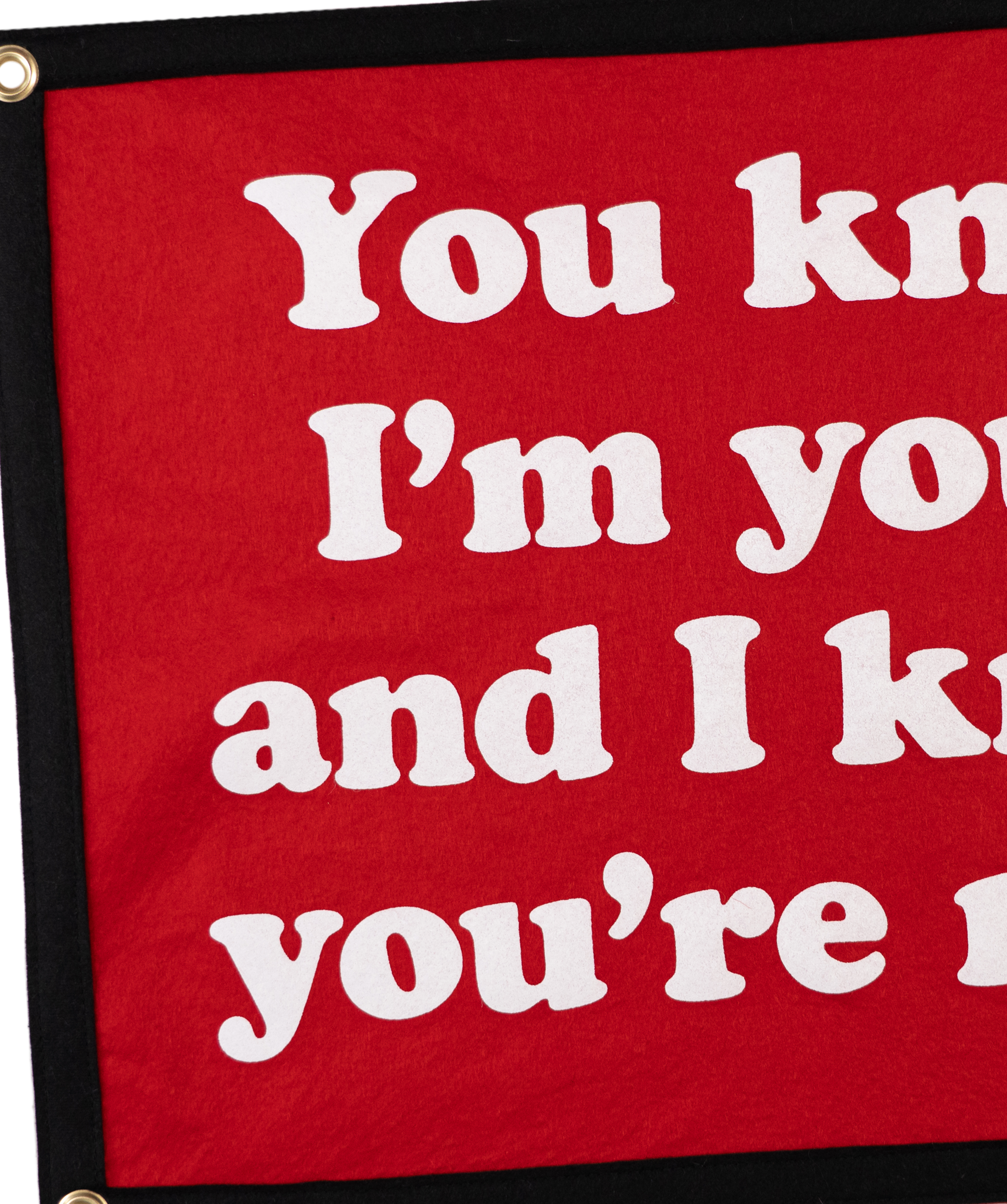 You Know I'm Yours And I Know You're Mine Camp Flag • Weezer x Oxford Pennant