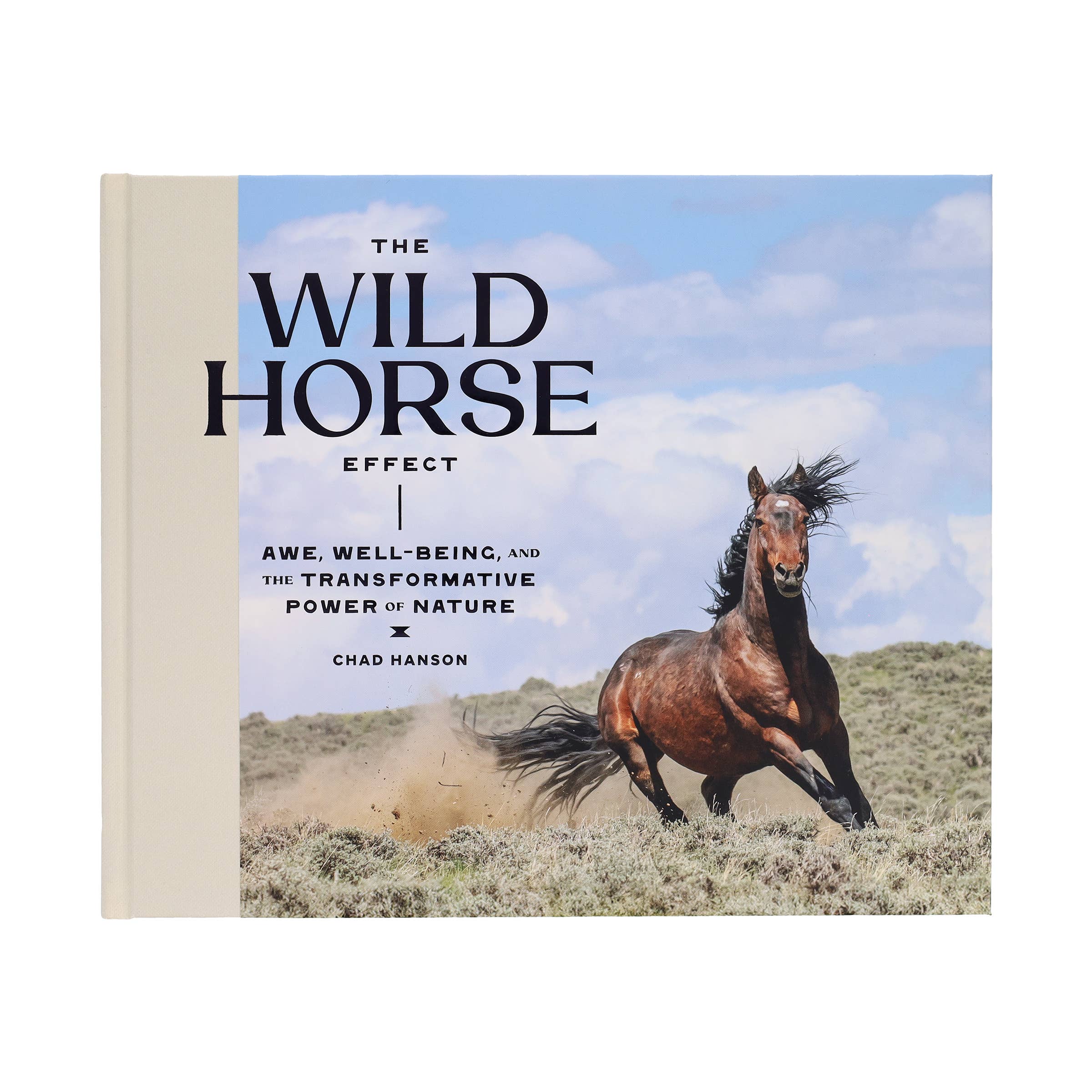 Wild Horse Effect