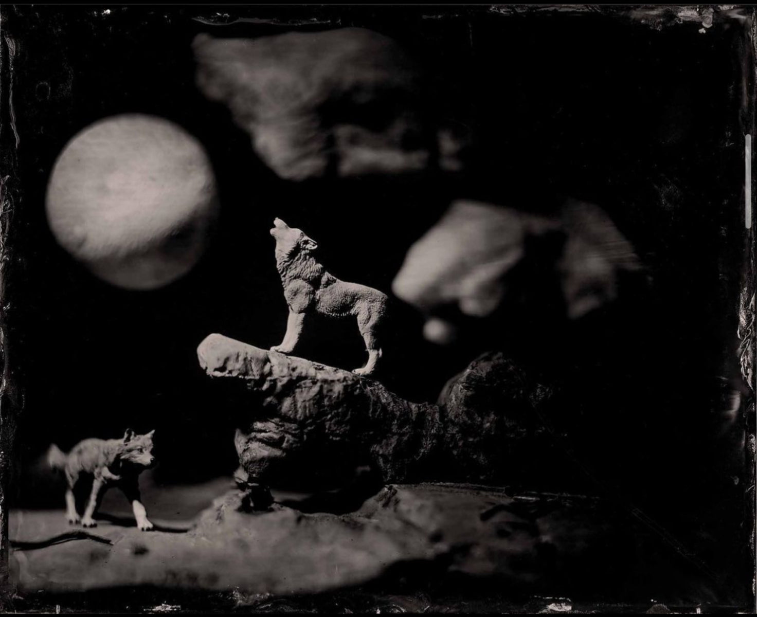 Eve of the Wolf
