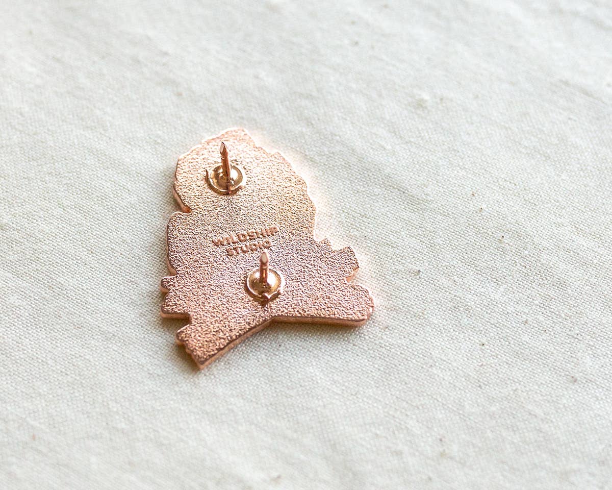 Michigan Enamel Pin
