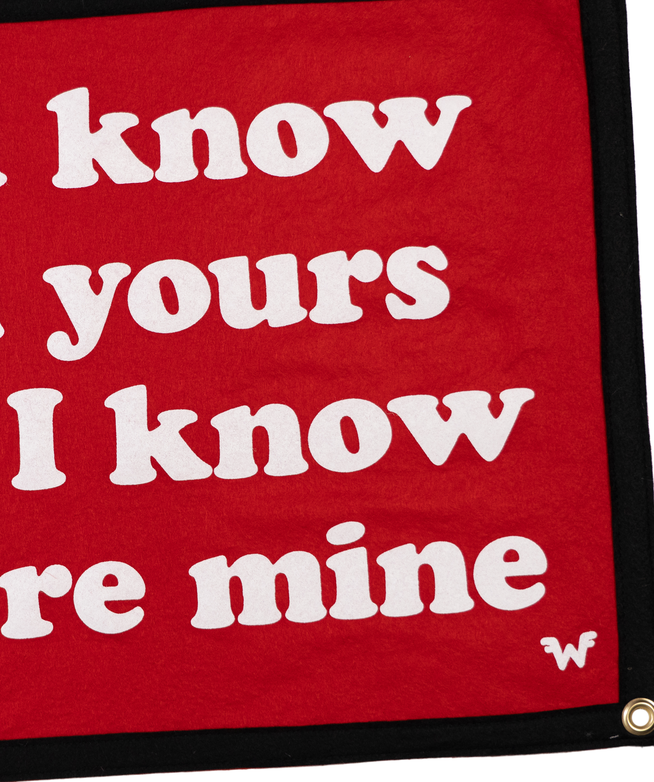 You Know I'm Yours And I Know You're Mine Camp Flag • Weezer x Oxford Pennant