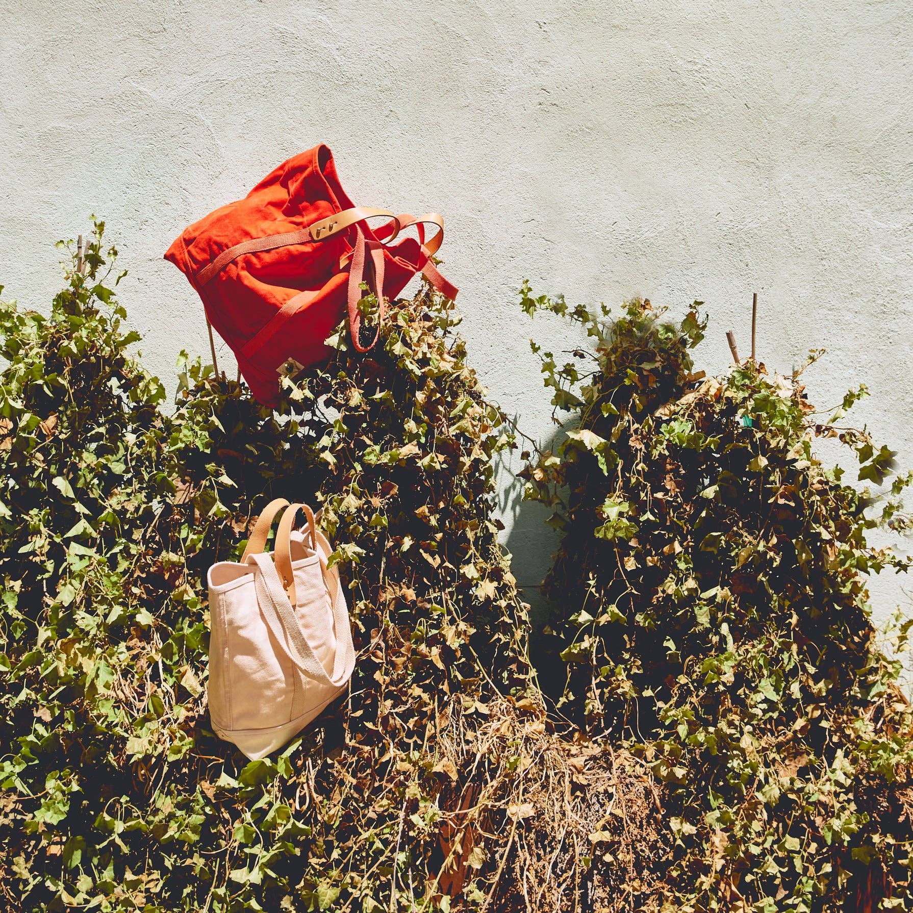 IMMODEST COTTON- Large East West Tote | Persimmon