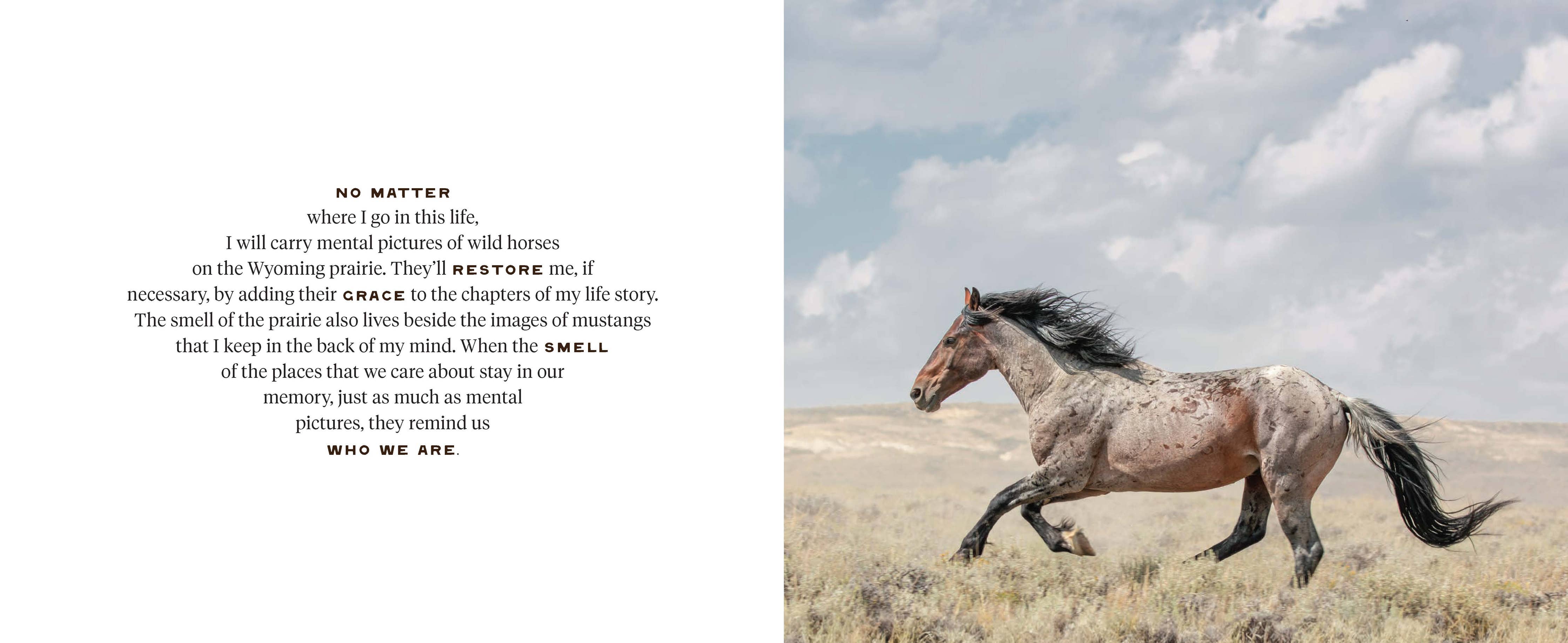 Wild Horse Effect