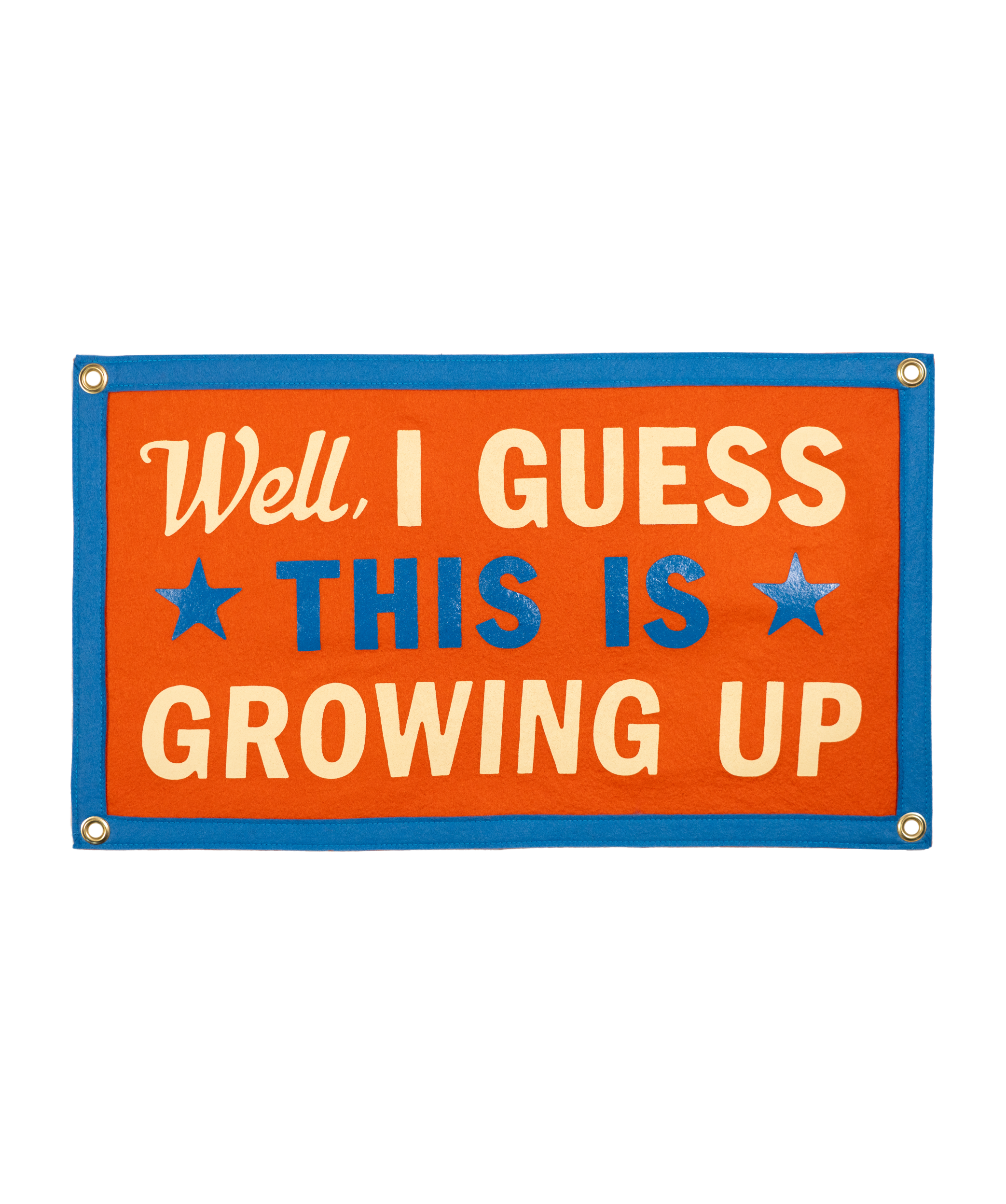 Well, I Guess This Is Growing Up Camp Flag • Blink-182 x Oxford Pennant