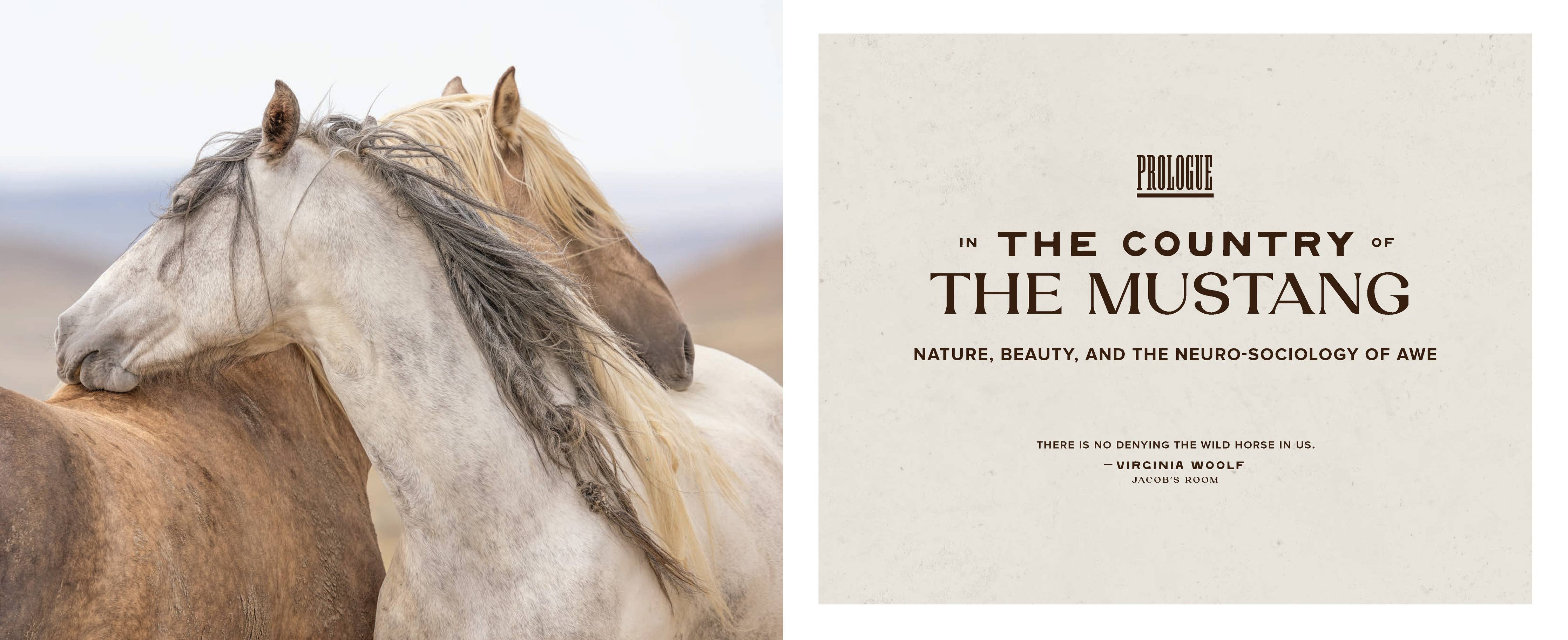 Wild Horse Effect