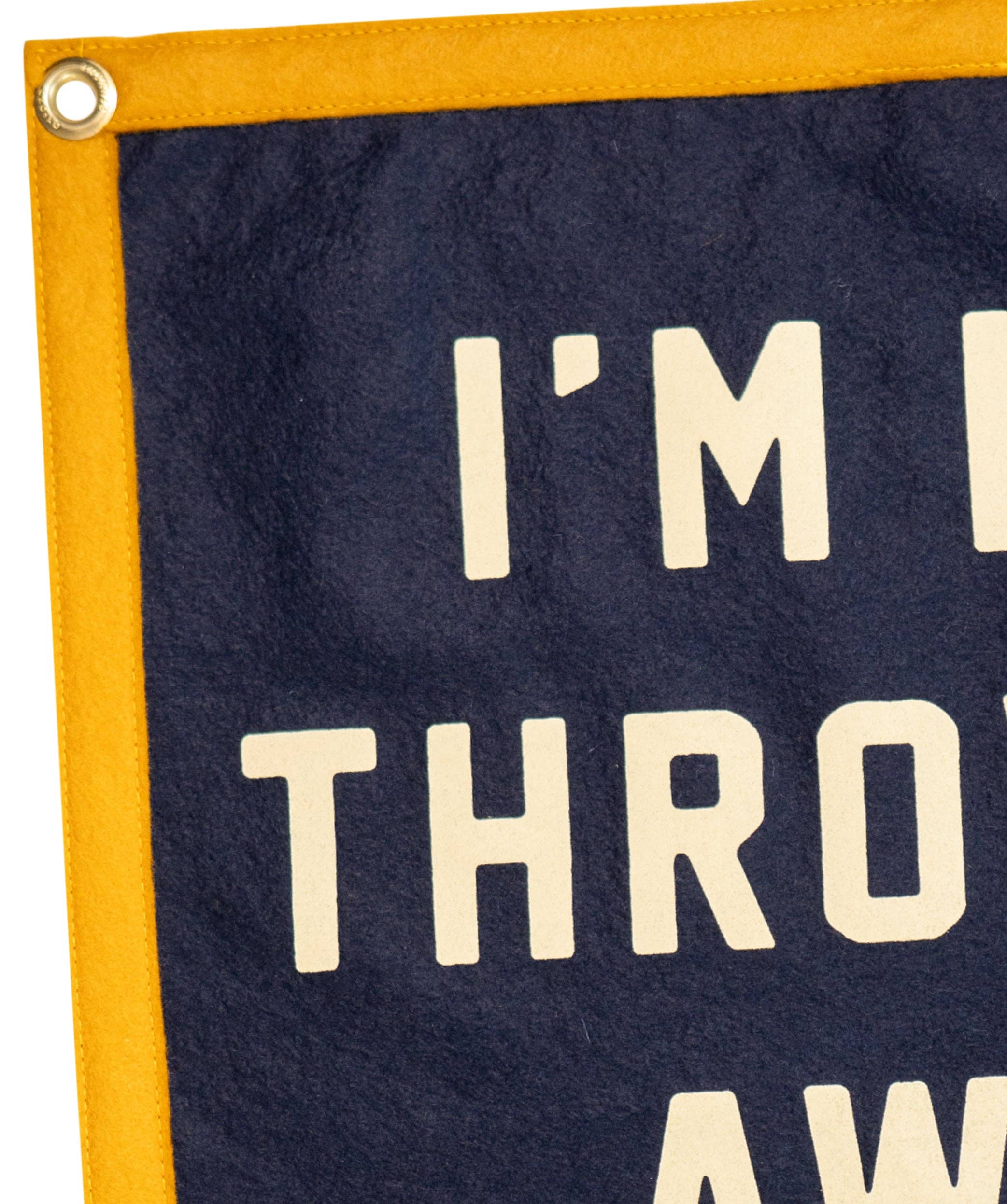 I'm Not Throwing Away My Shot Camp Flag • Hamilton x Oxford Pennant