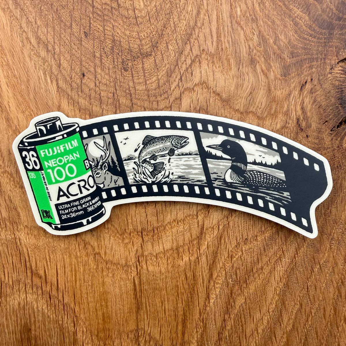 Green Film Roll 4 Inch Matte Vinyl Sticker