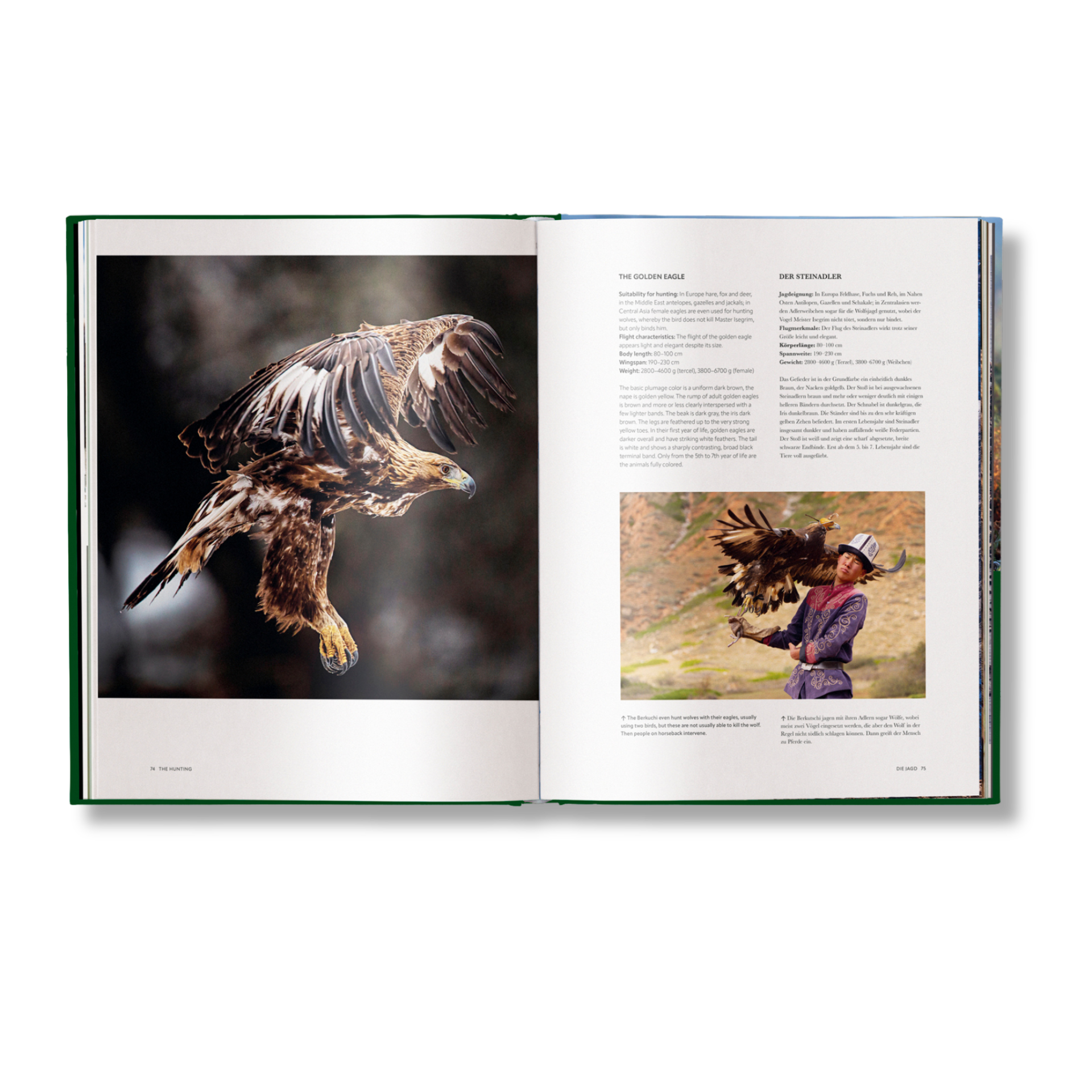 Hunting: The Ultimate Book