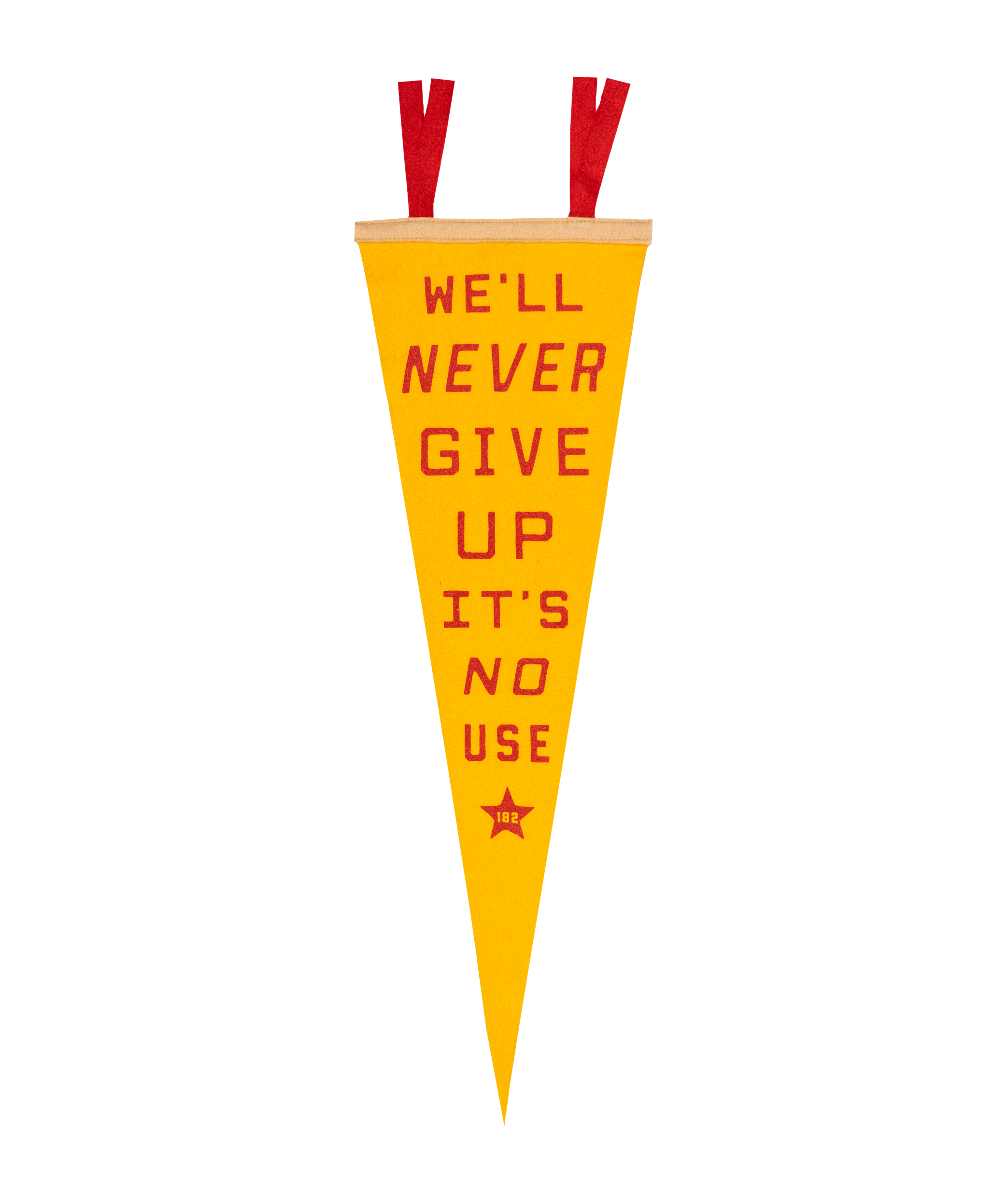 We'll Never Give Up, It's No Use Pennant • blink-182 x Oxford Pennant