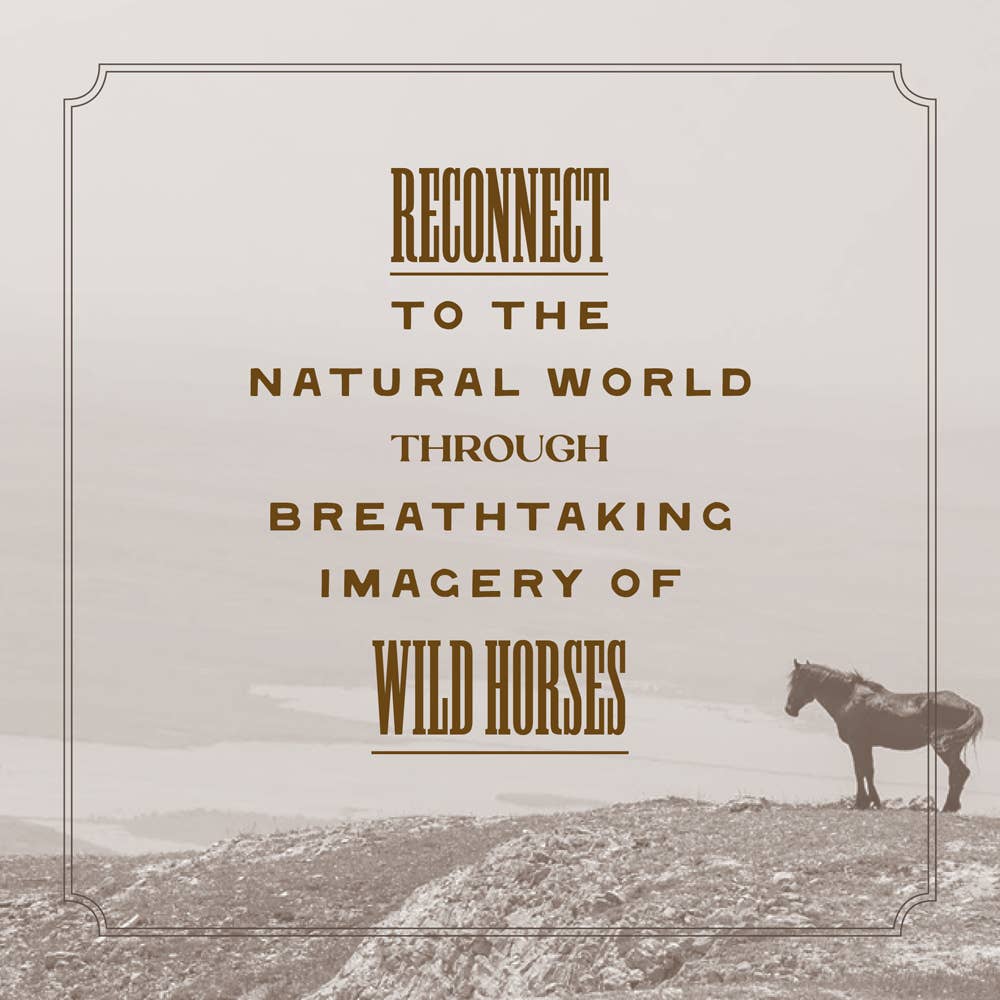Wild Horse Effect