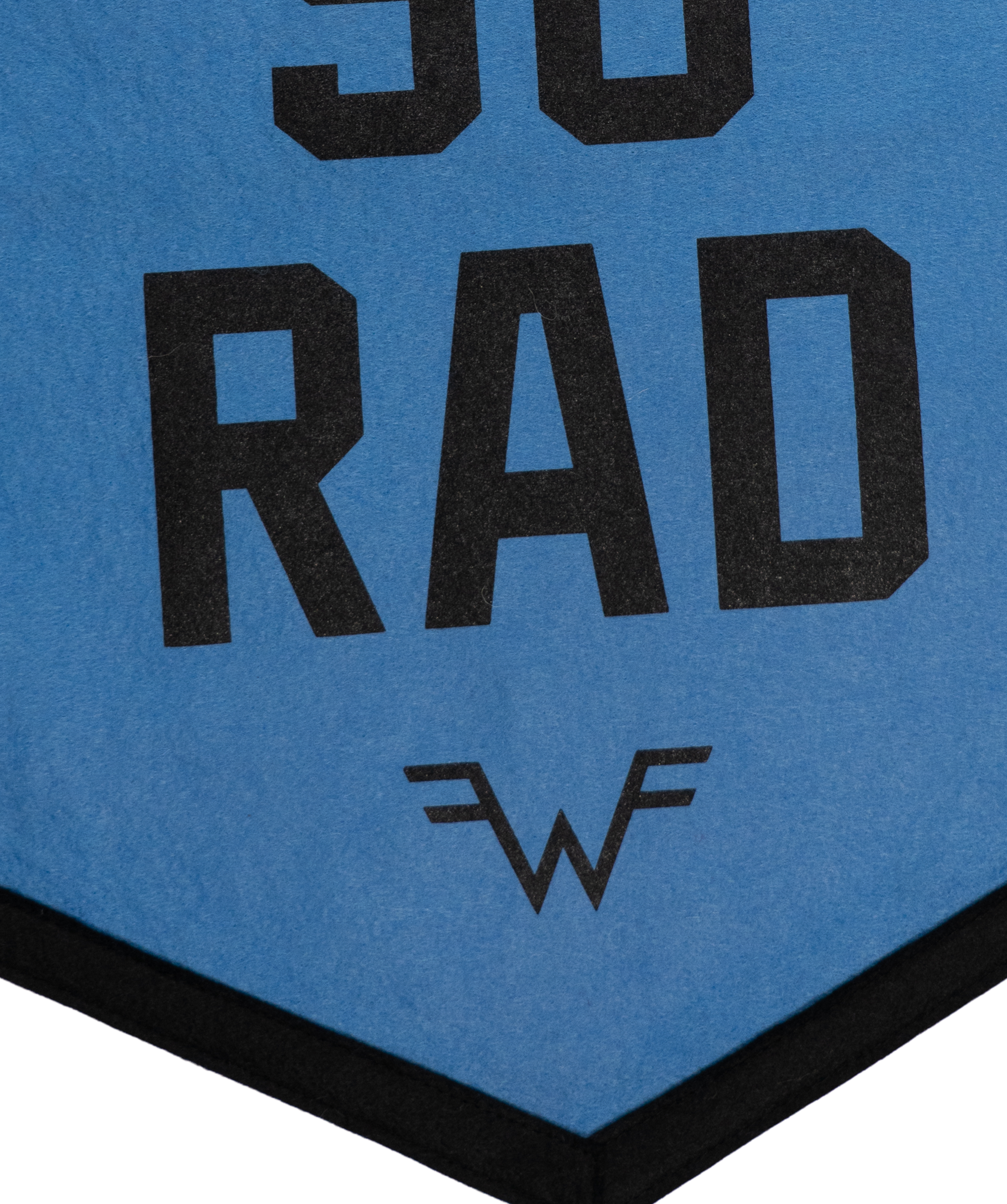 Life's So Rad Camp Flag • Weezer x Oxford Pennant