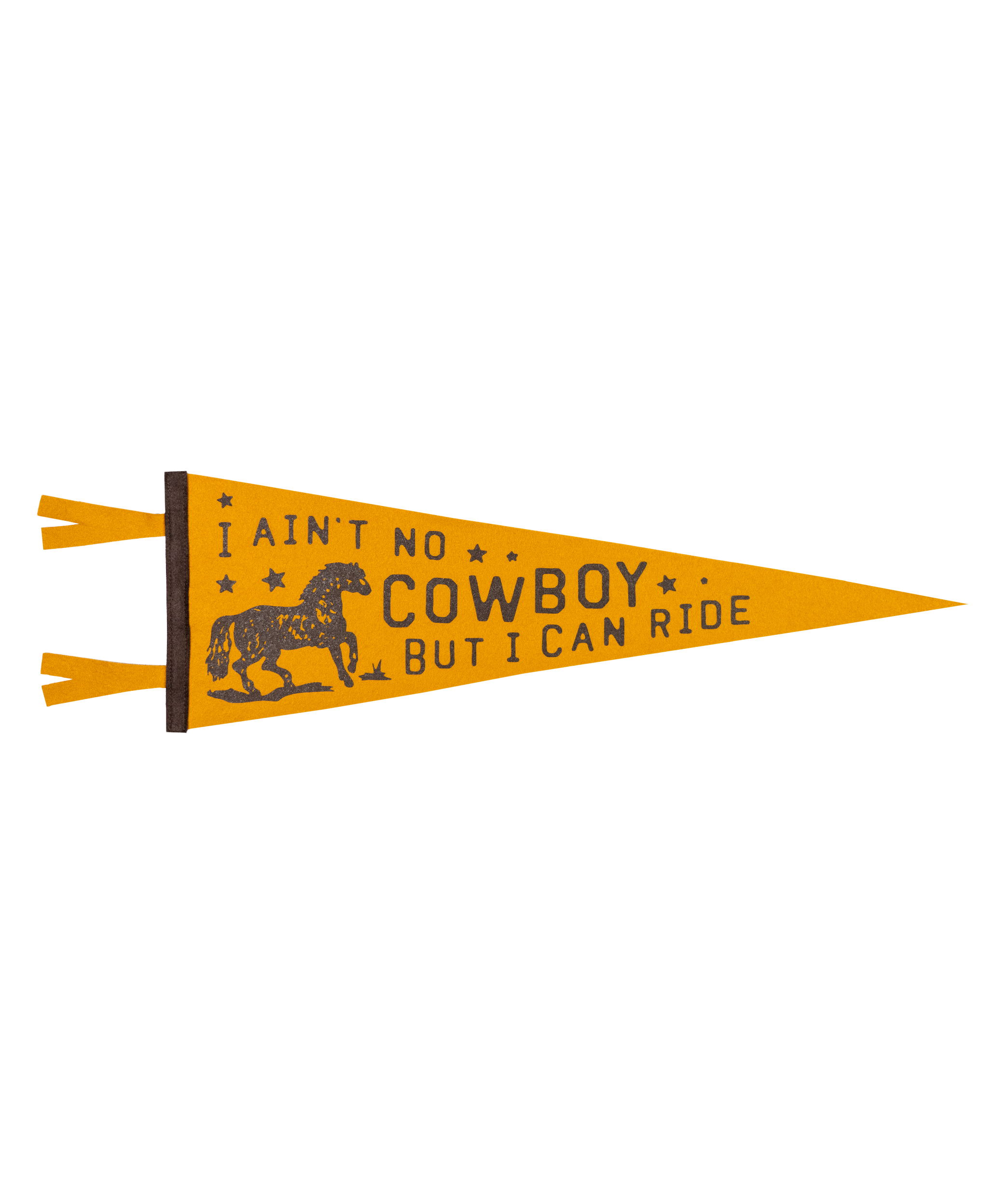 I Ain't No Cowboy But I Can Ride Pennant • Jason Isbell x Oxford Pennant