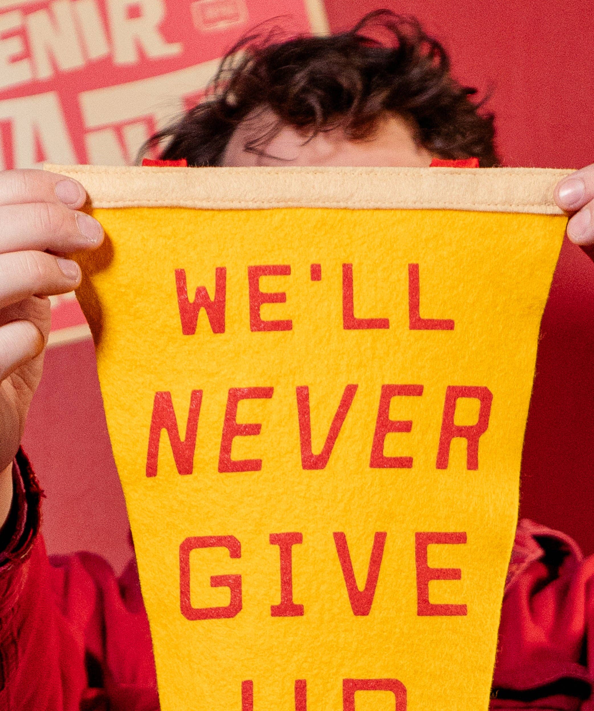 We'll Never Give Up, It's No Use Pennant • blink-182 x Oxford Pennant