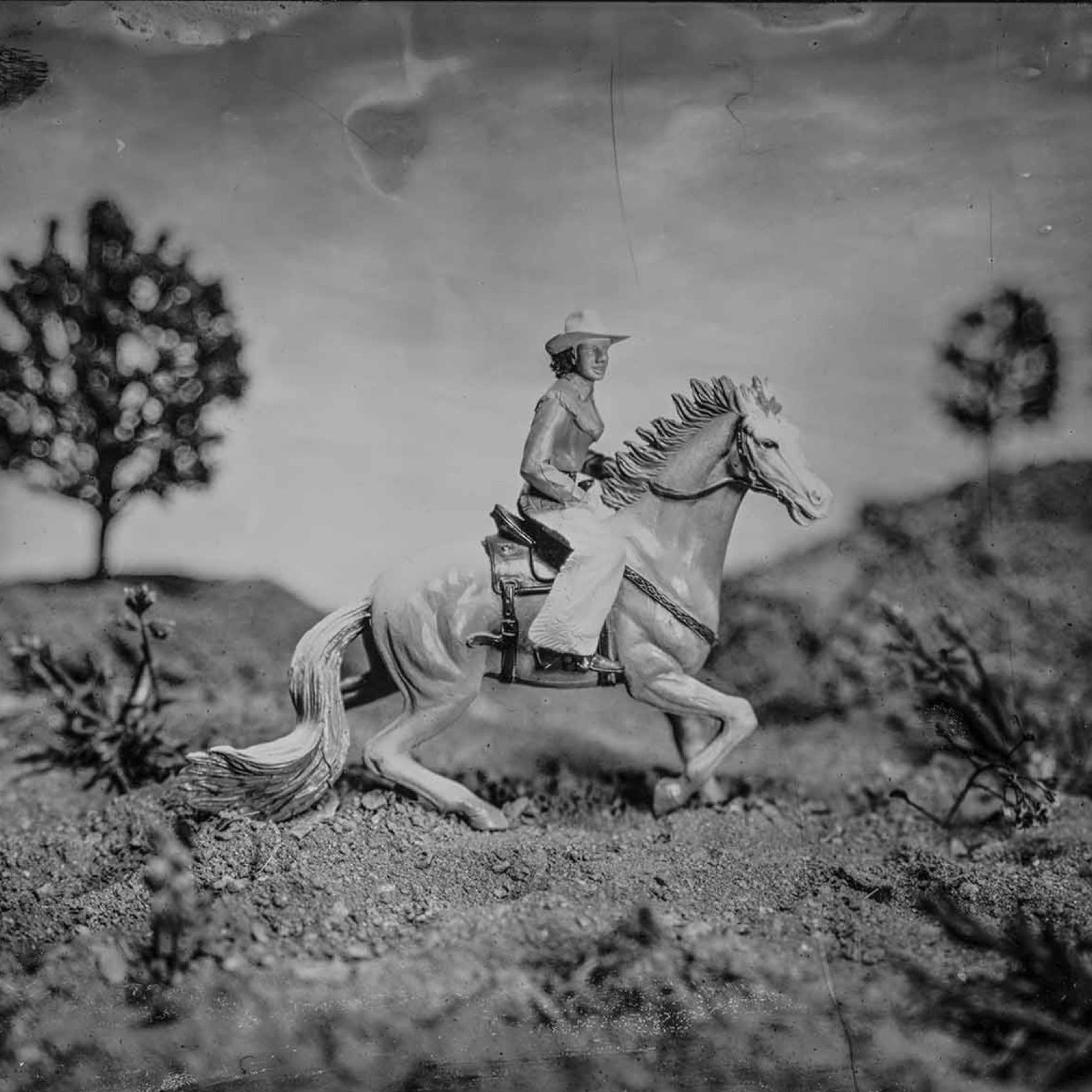 “The Ballad of Cowgirl McKenna" 8x10 tintype print by Ryan Scheer