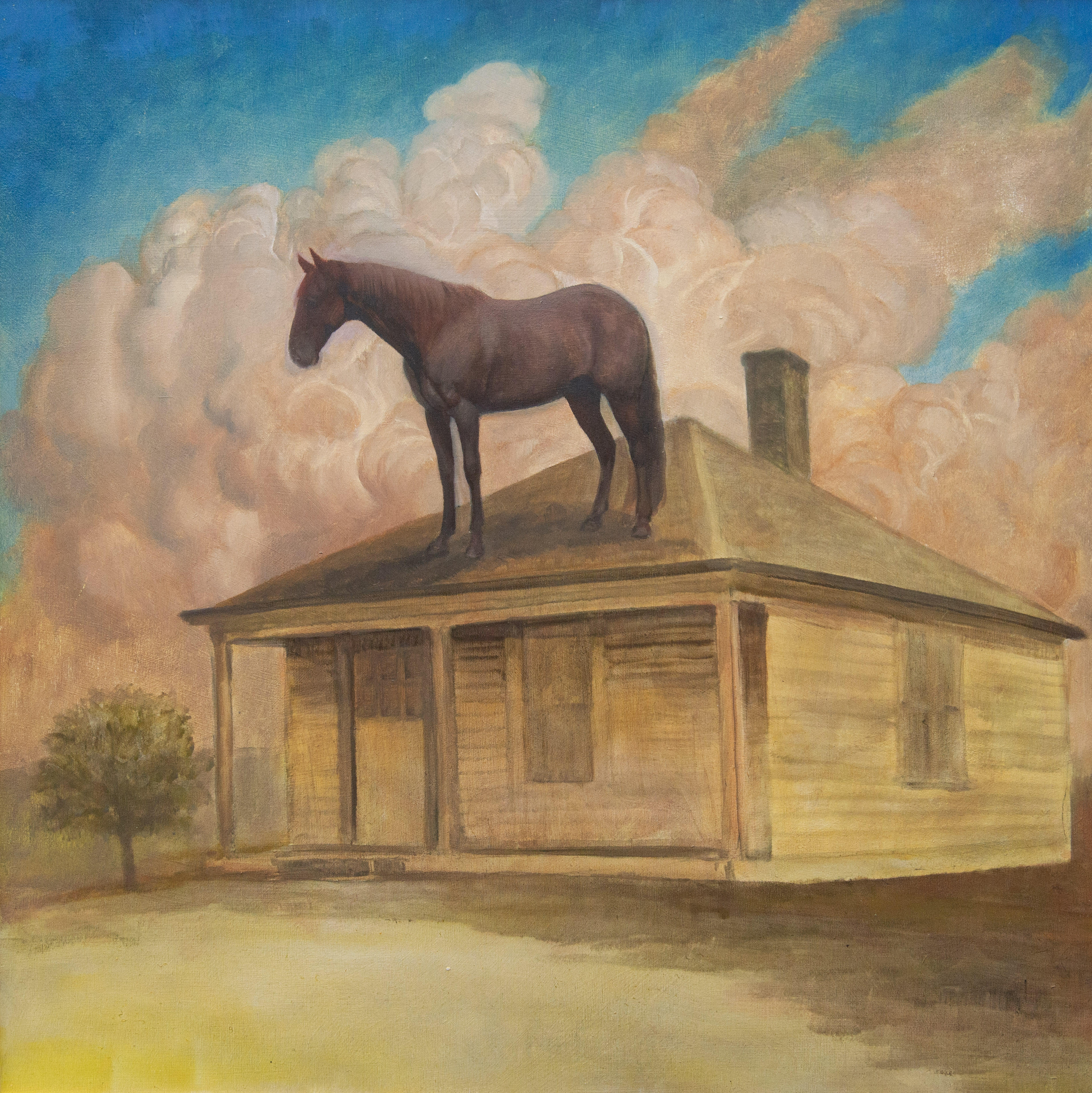 "Horse on Roof Again" by Kym Day
