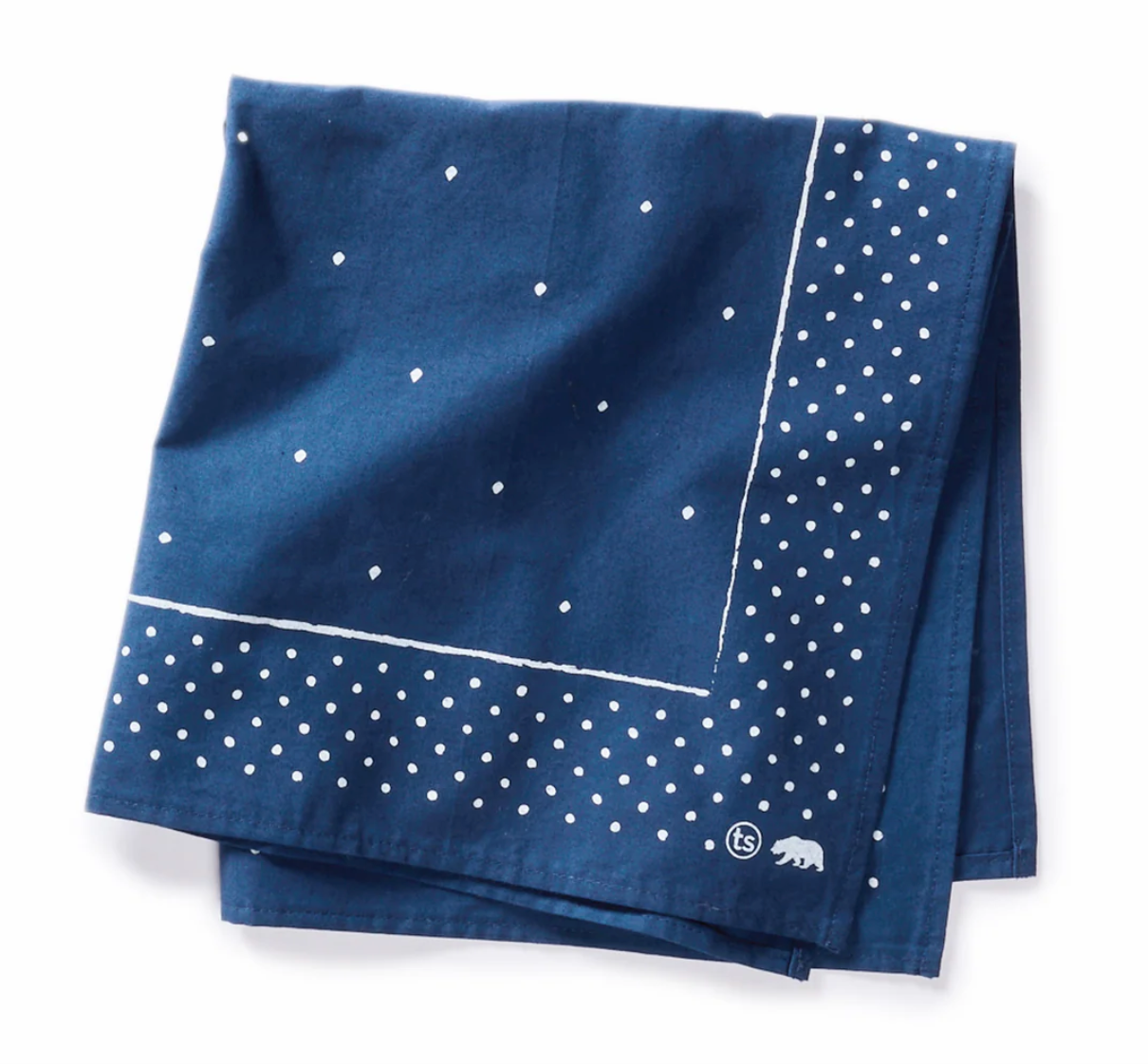 Taylor Stitch- The Bandana in Heritage Blue