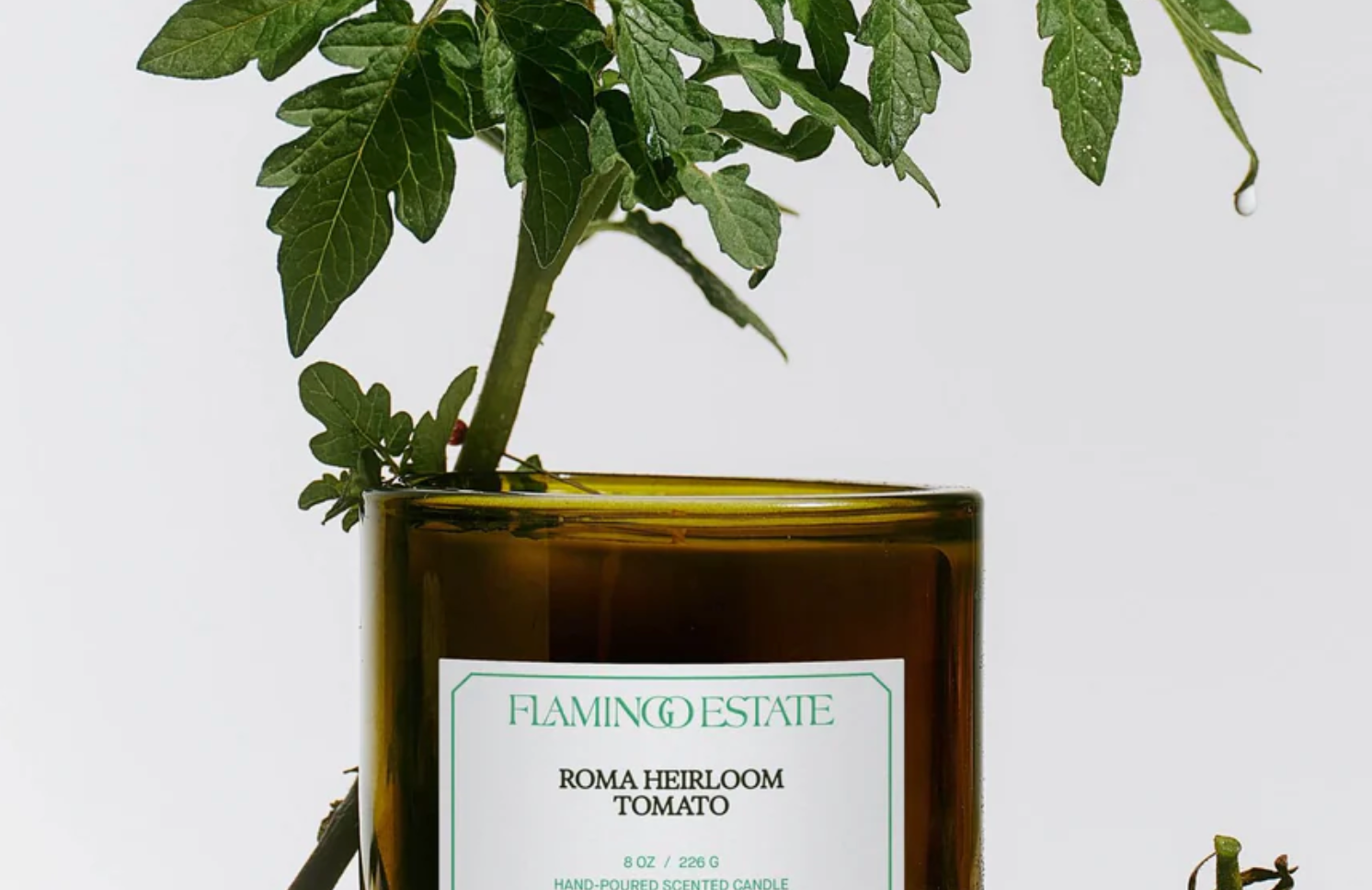 Flamingo Estate- Heirloom Tomato Candle