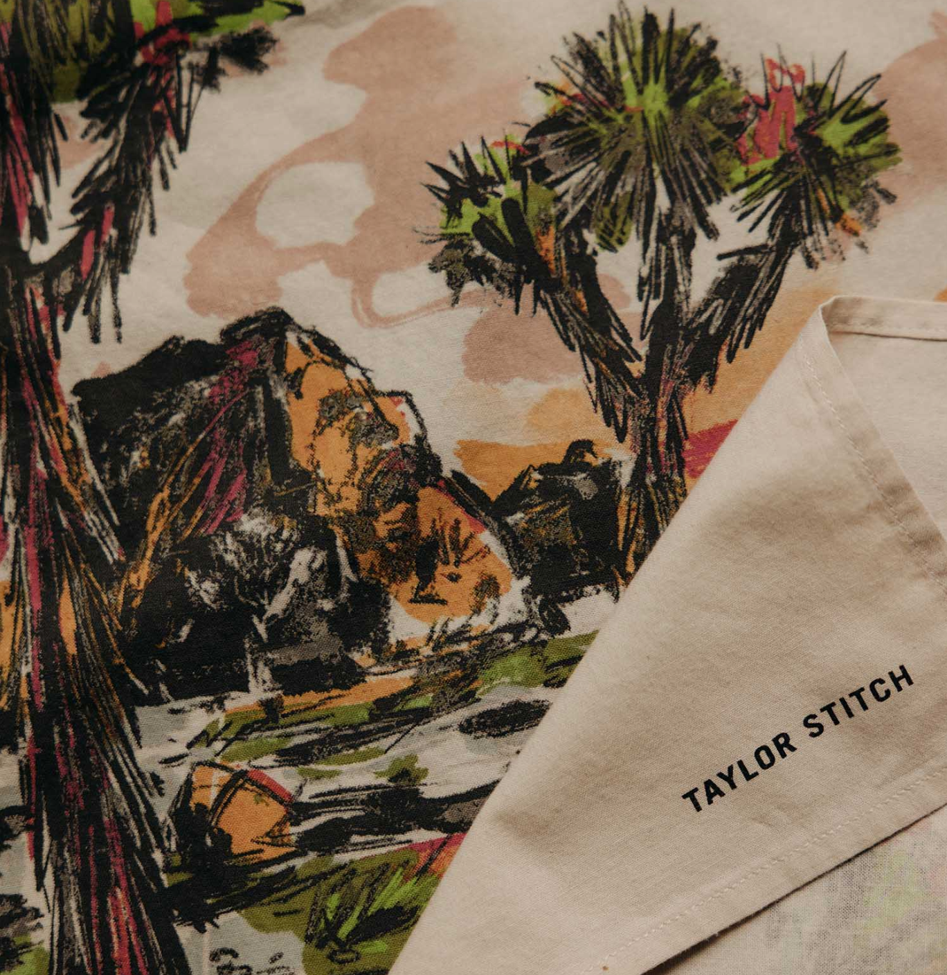 Taylor Stitch- The Bandana- Desert Sunset