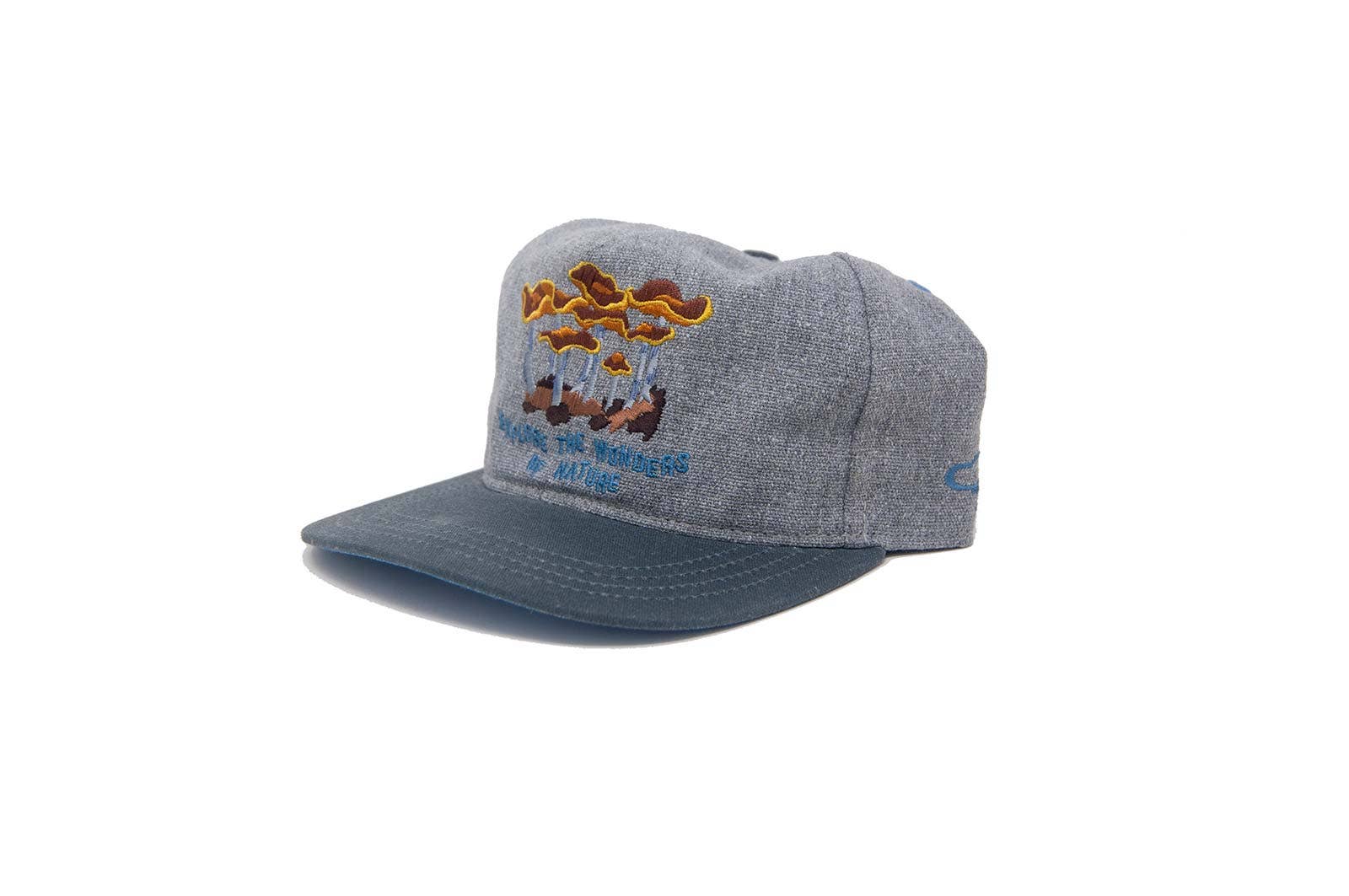 EXPLORE WONDERS II - Strapback