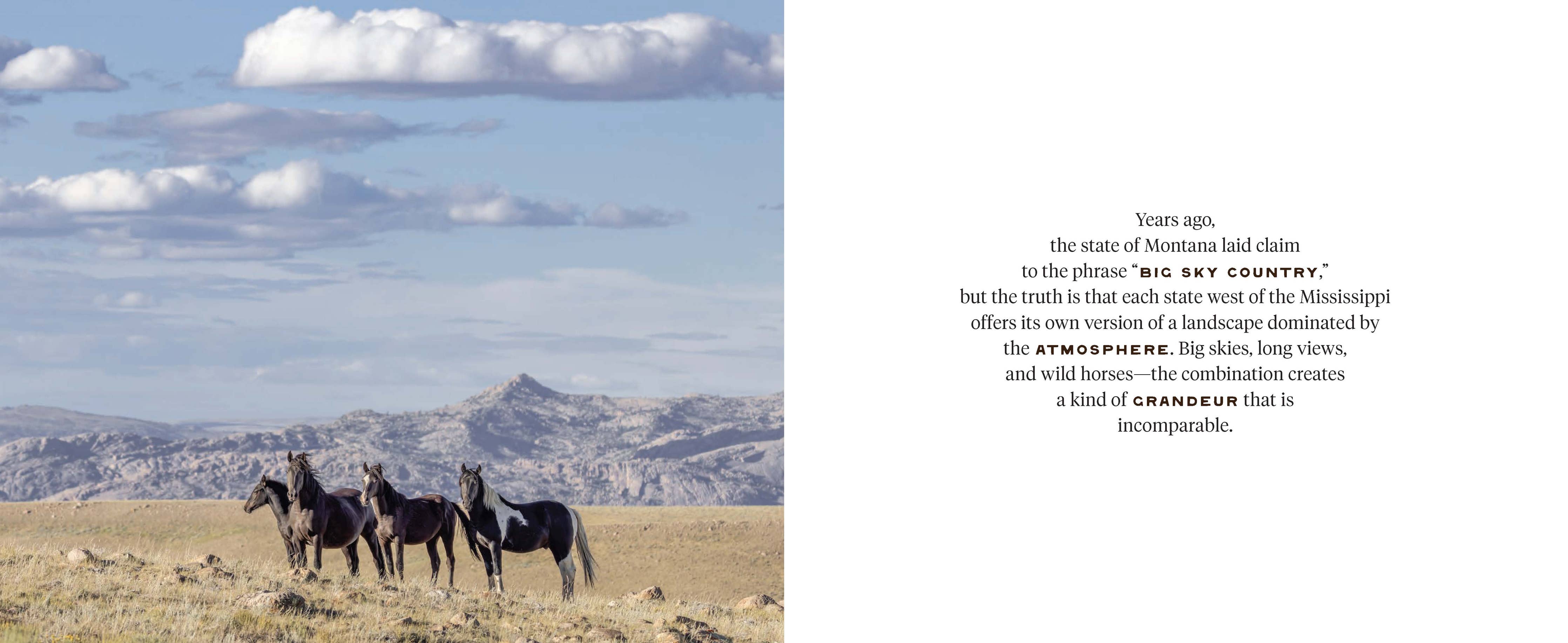 Wild Horse Effect