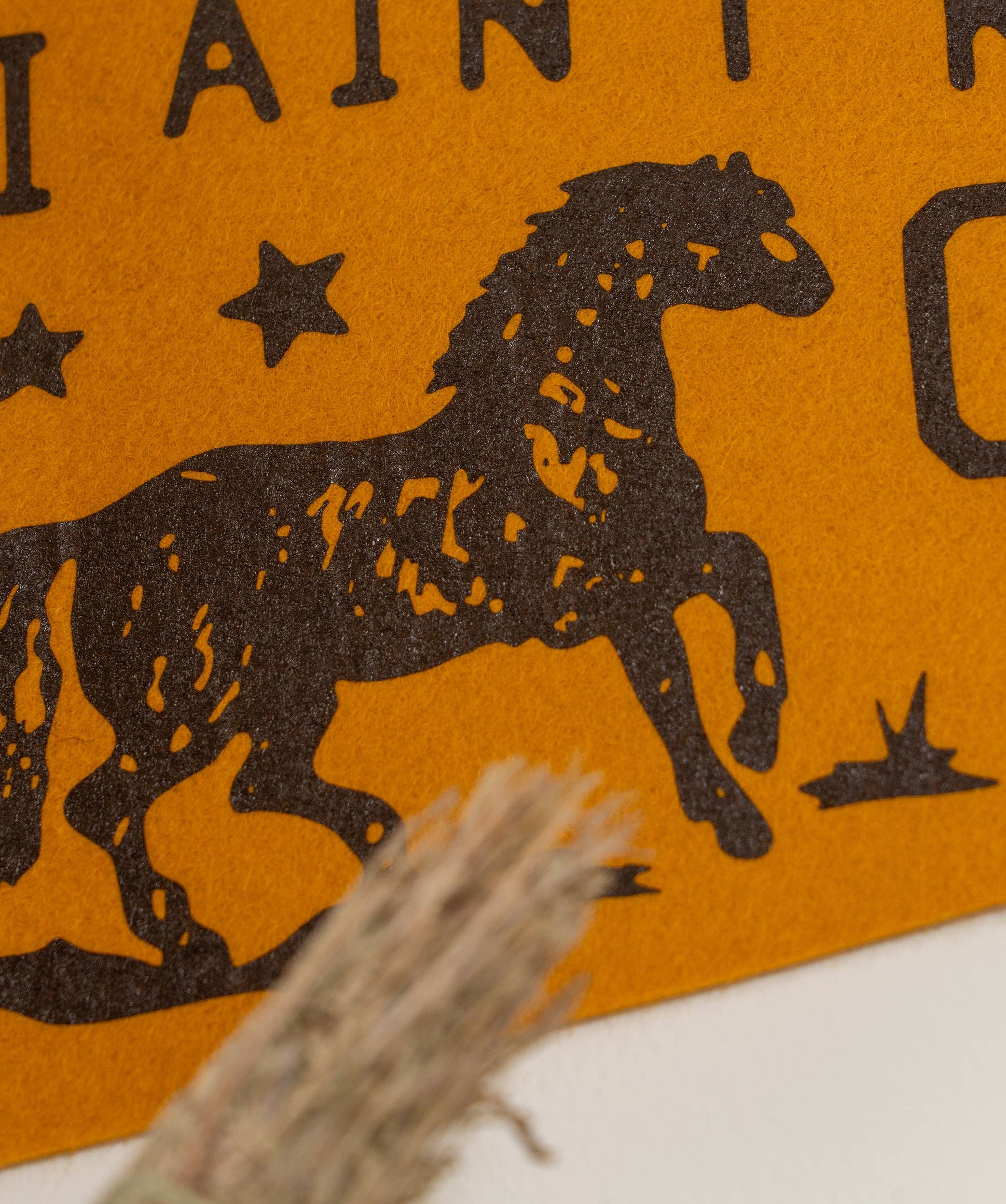 I Ain't No Cowboy But I Can Ride Pennant • Jason Isbell x Oxford Pennant