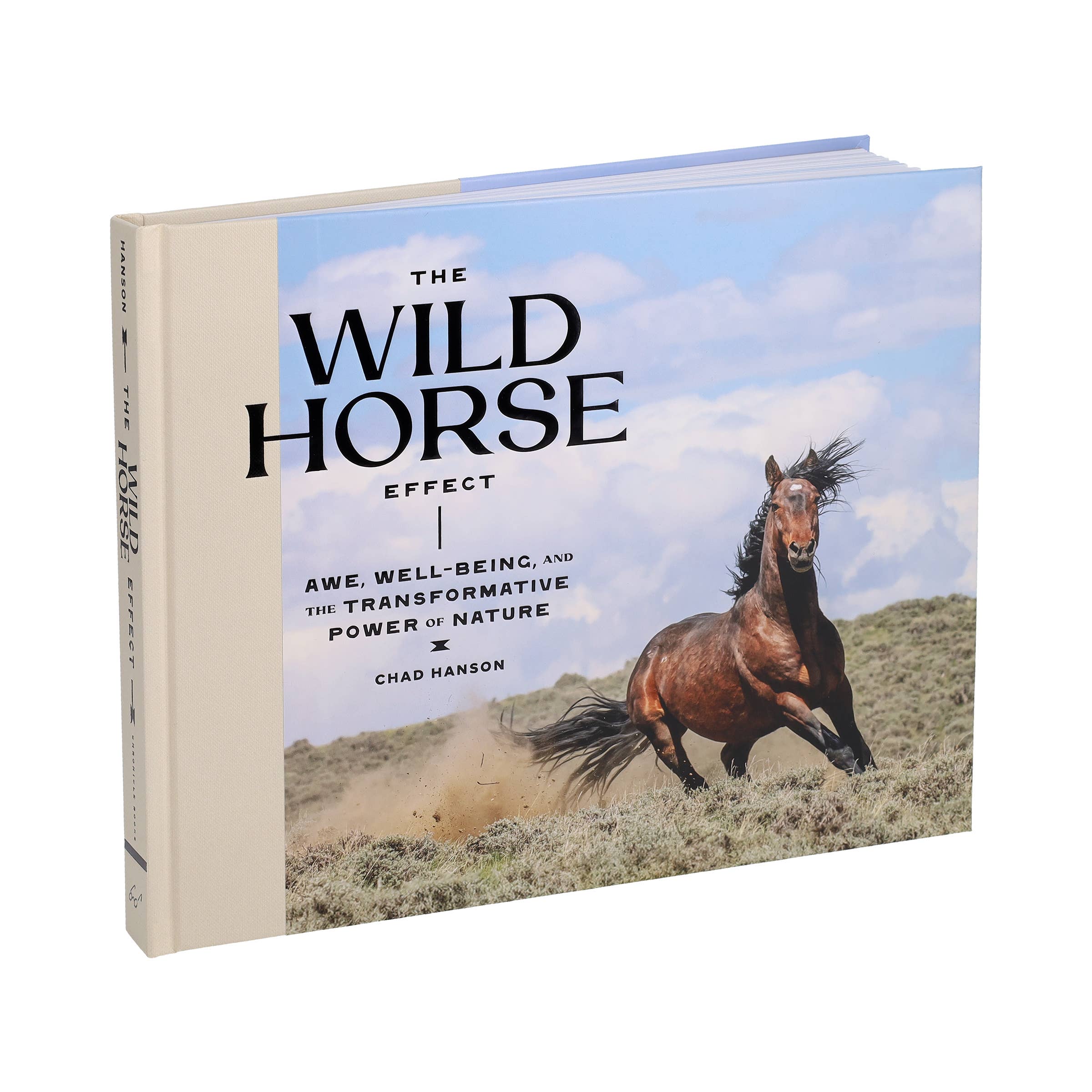 Wild Horse Effect