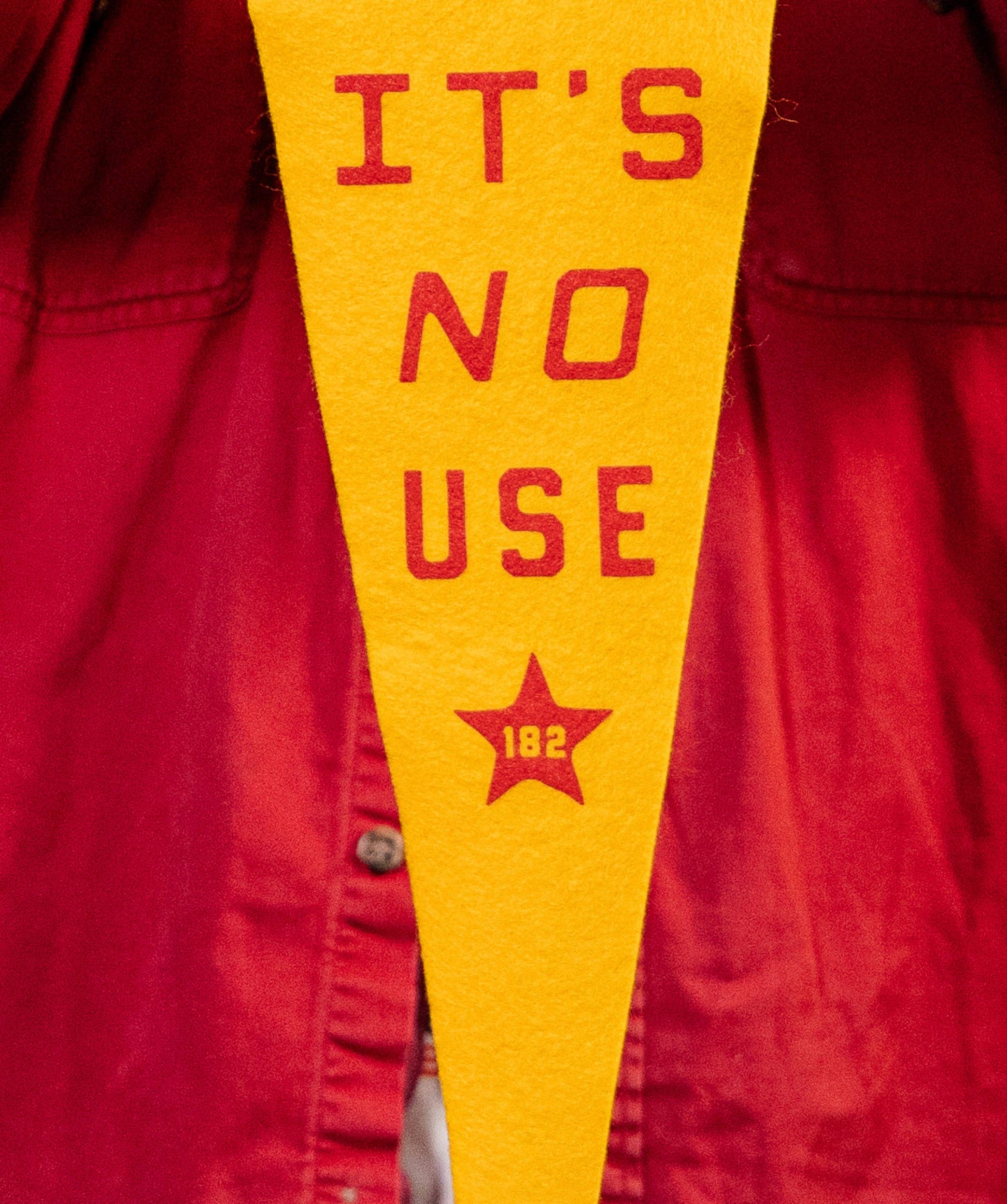We'll Never Give Up, It's No Use Pennant • blink-182 x Oxford Pennant