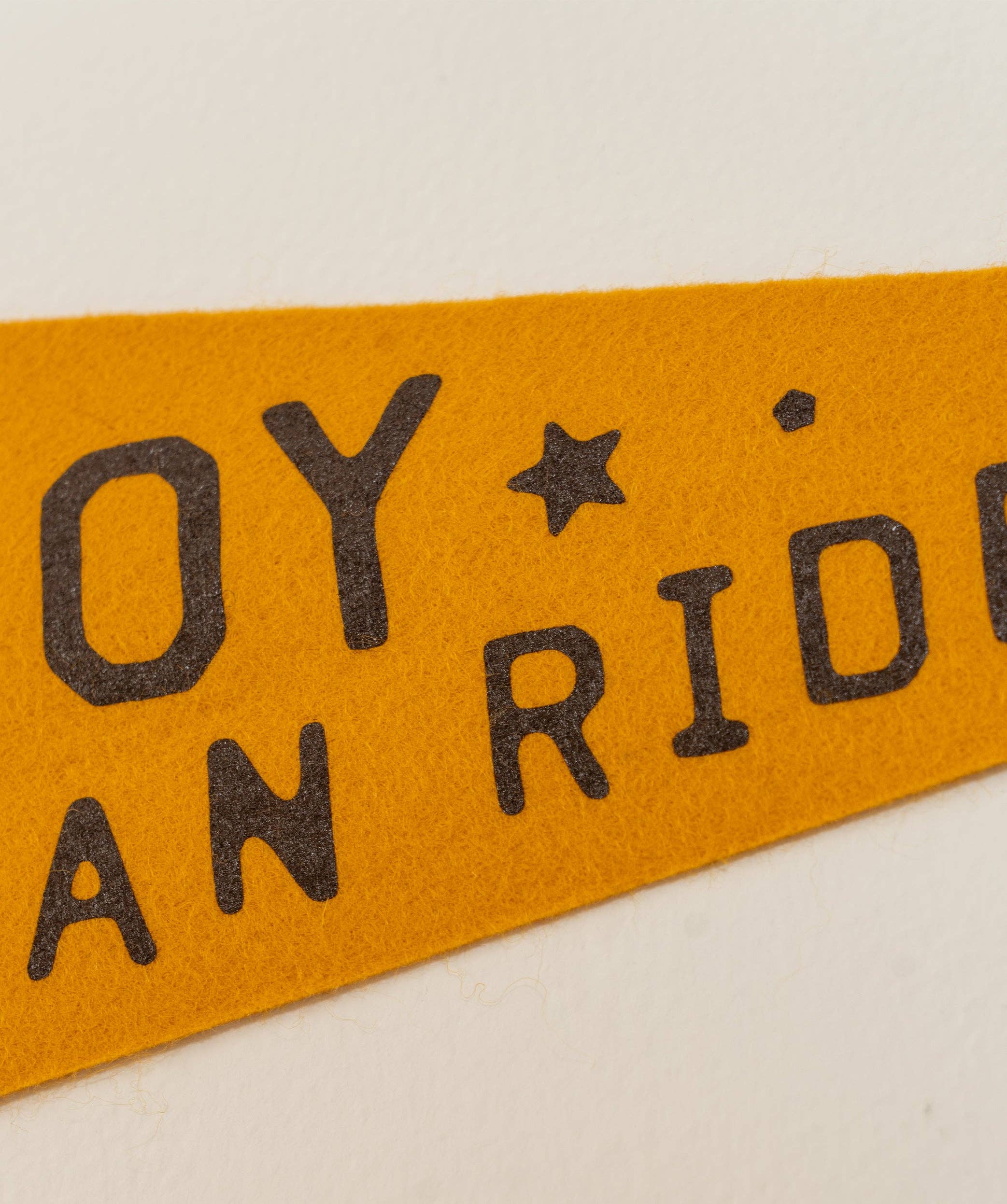 I Ain't No Cowboy But I Can Ride Pennant • Jason Isbell x Oxford Pennant