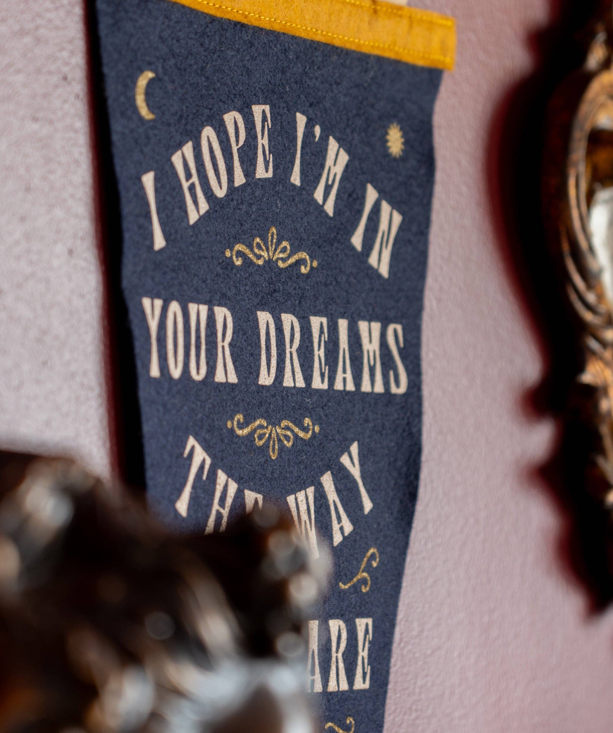 In Dreams Fishtail Pennant • Sierra Ferrell x Oxford Pennant