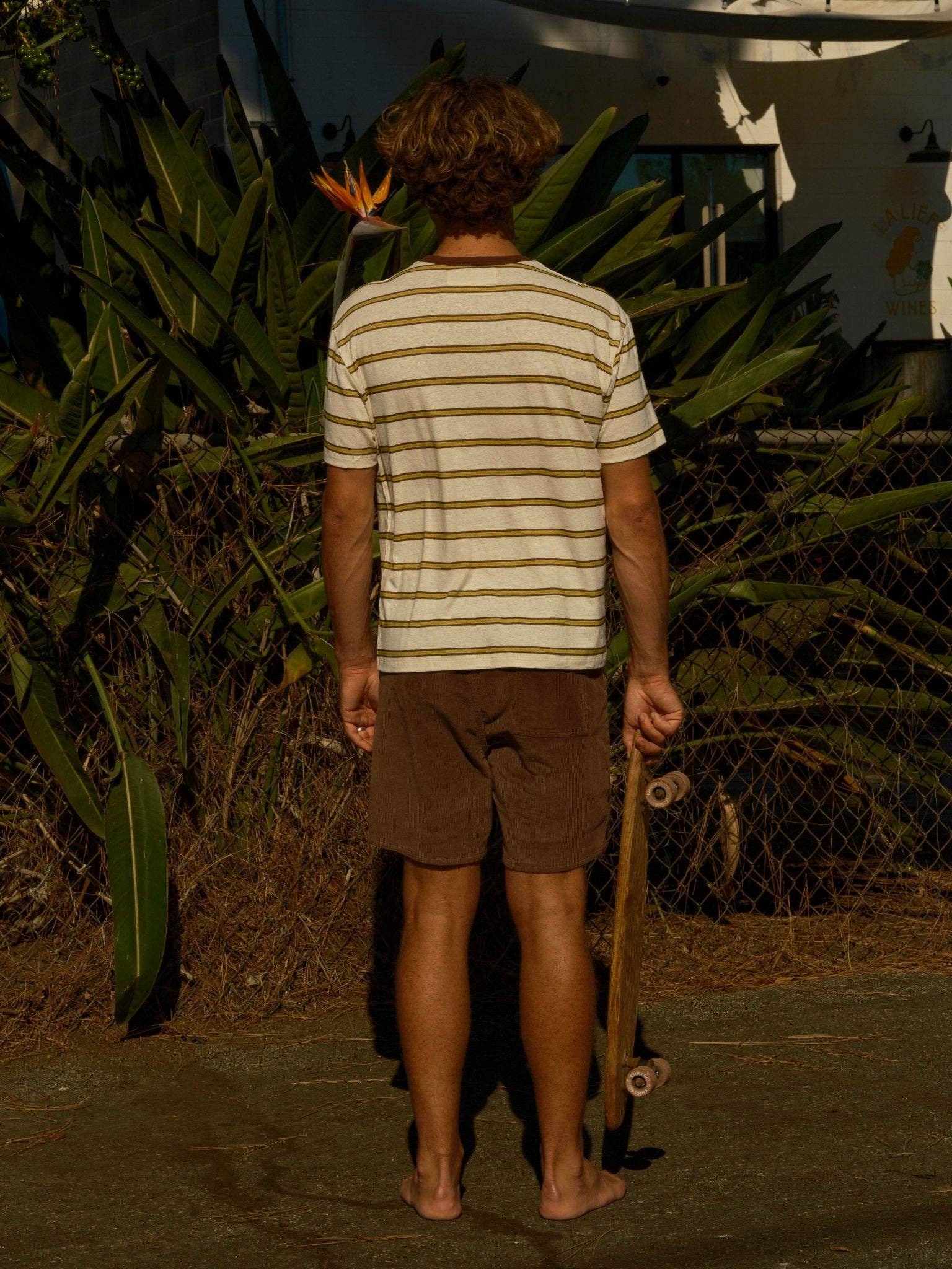 Mollusk- Hemp Tee in Brown and Gold Stripe