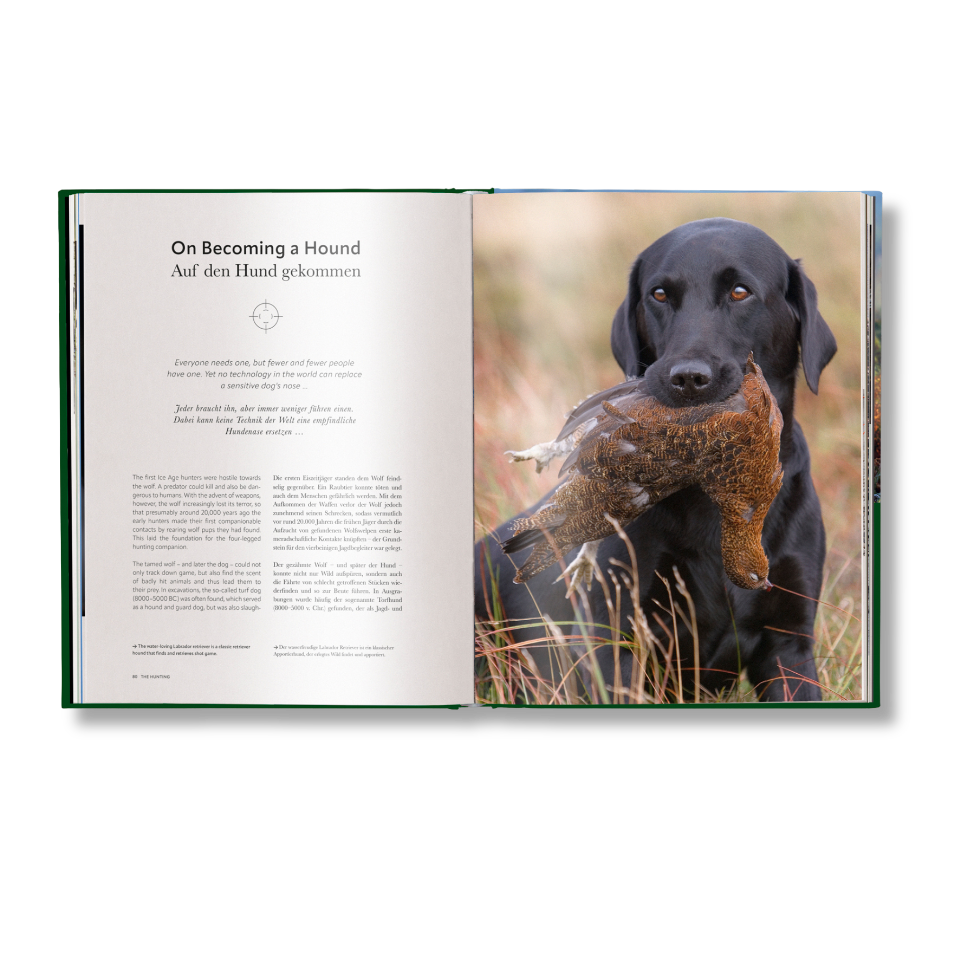 Hunting: The Ultimate Book