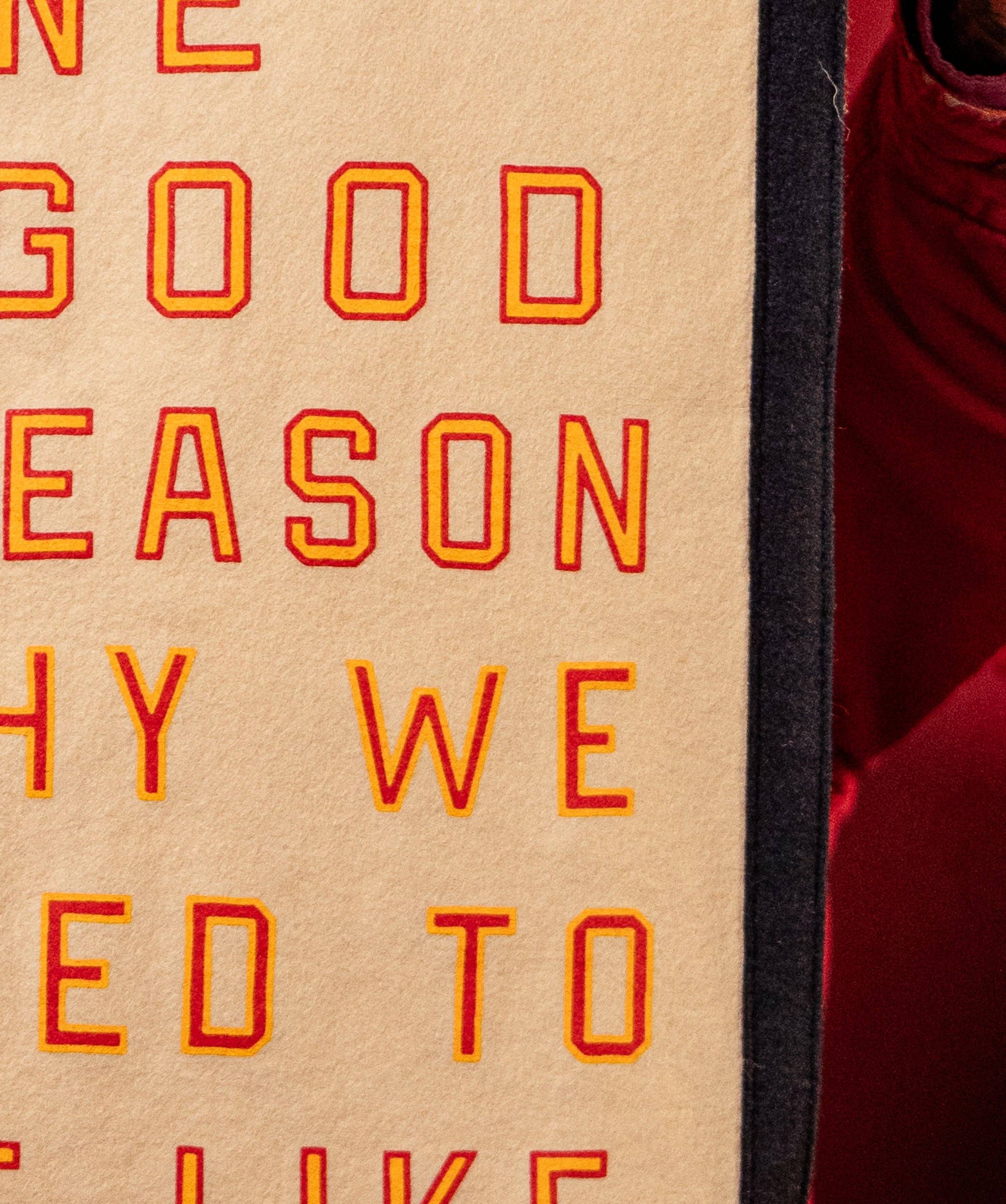 Give Me One Good Reason Why We Need To Be Like Them Camp Flag • Blink-182 x Oxford Pennant