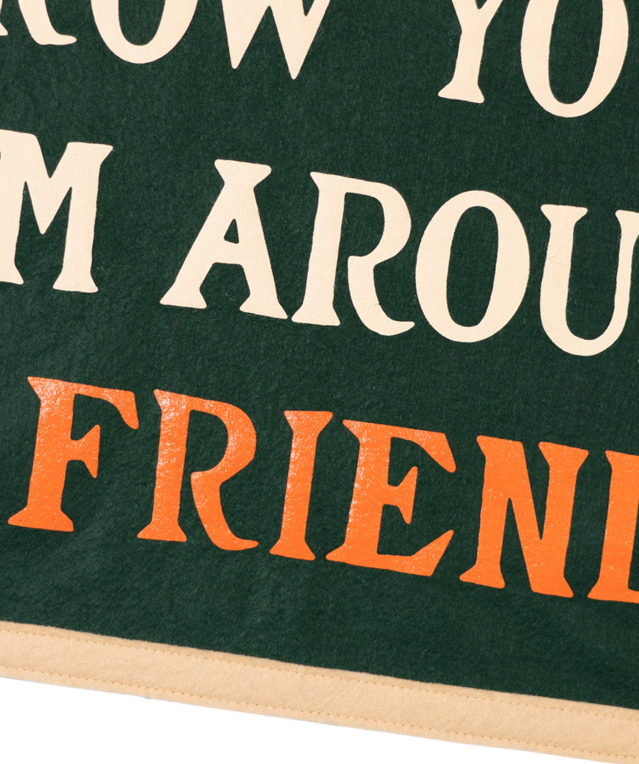 Throw Your Arm Around A Friend Camp Flag • Billy Strings x Oxford Pennant