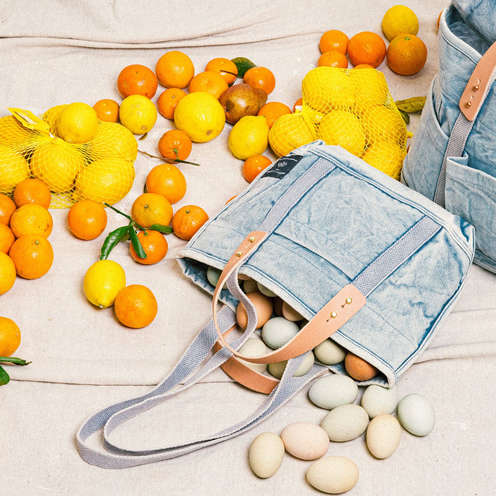 IMMODEST COTTON- Lunch Tote | Acid Wash
